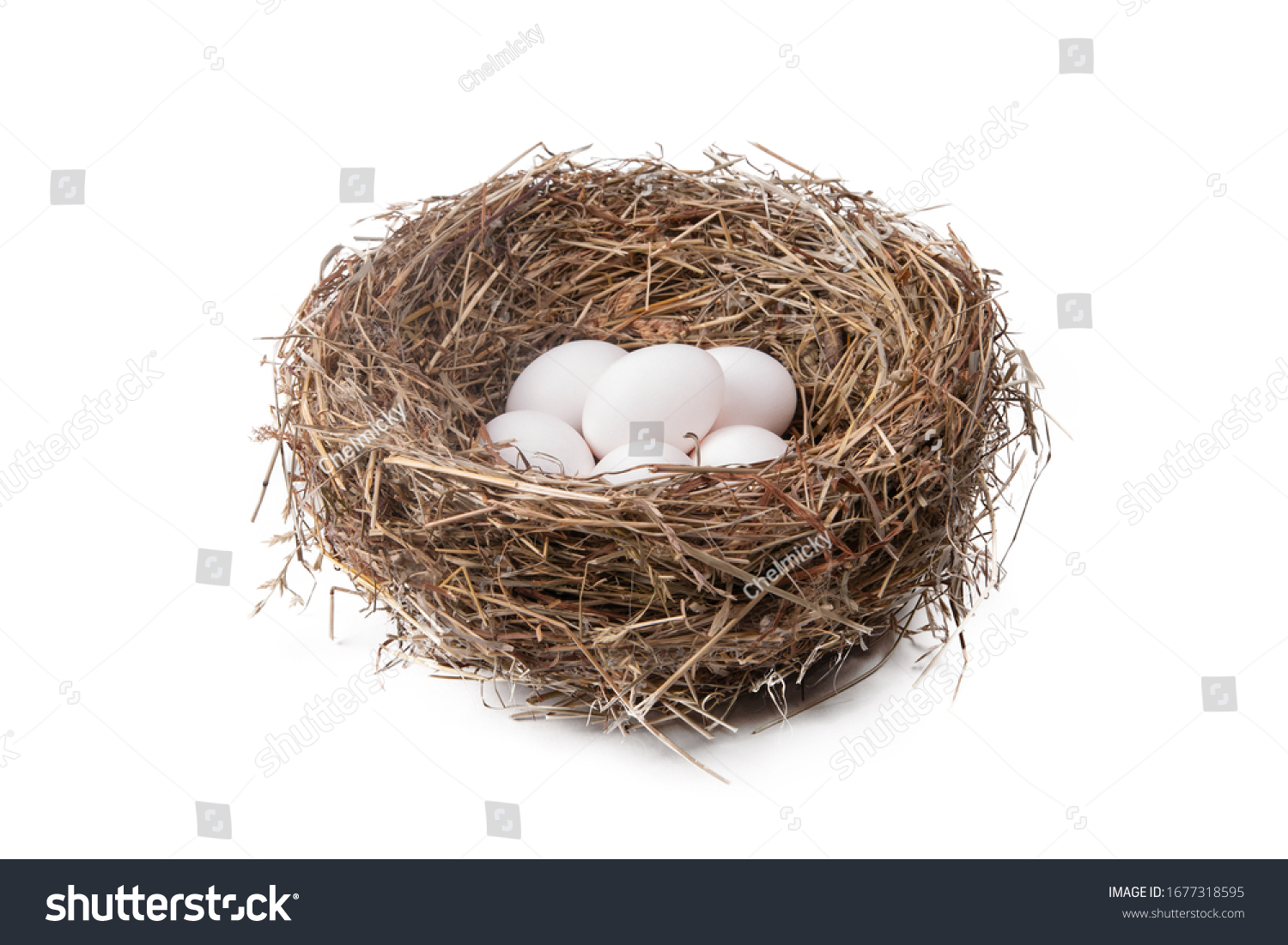 Heap of white eggs in a straw nest on a white background #1677318595