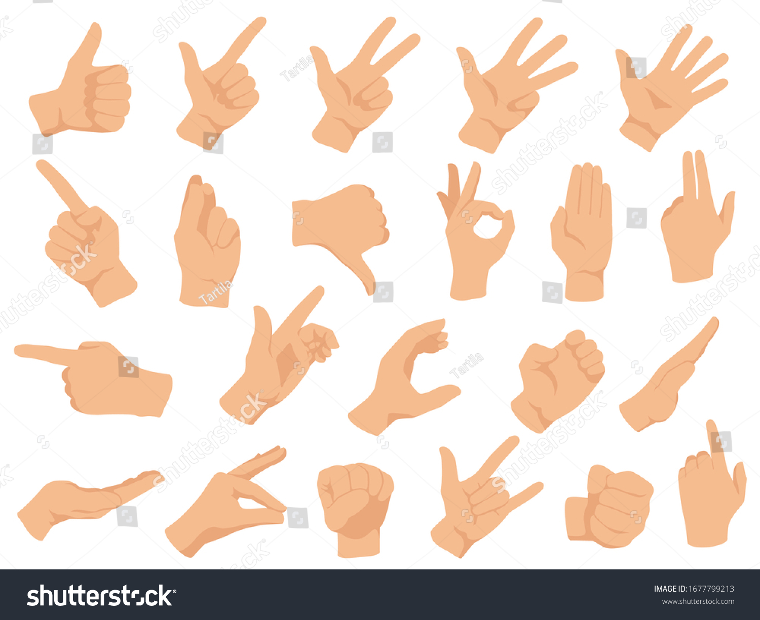 Hand gestures. Vector illustration set, counting fingers. Gesture palm, pointing hand, communication language, pose and gesturing #1677799213