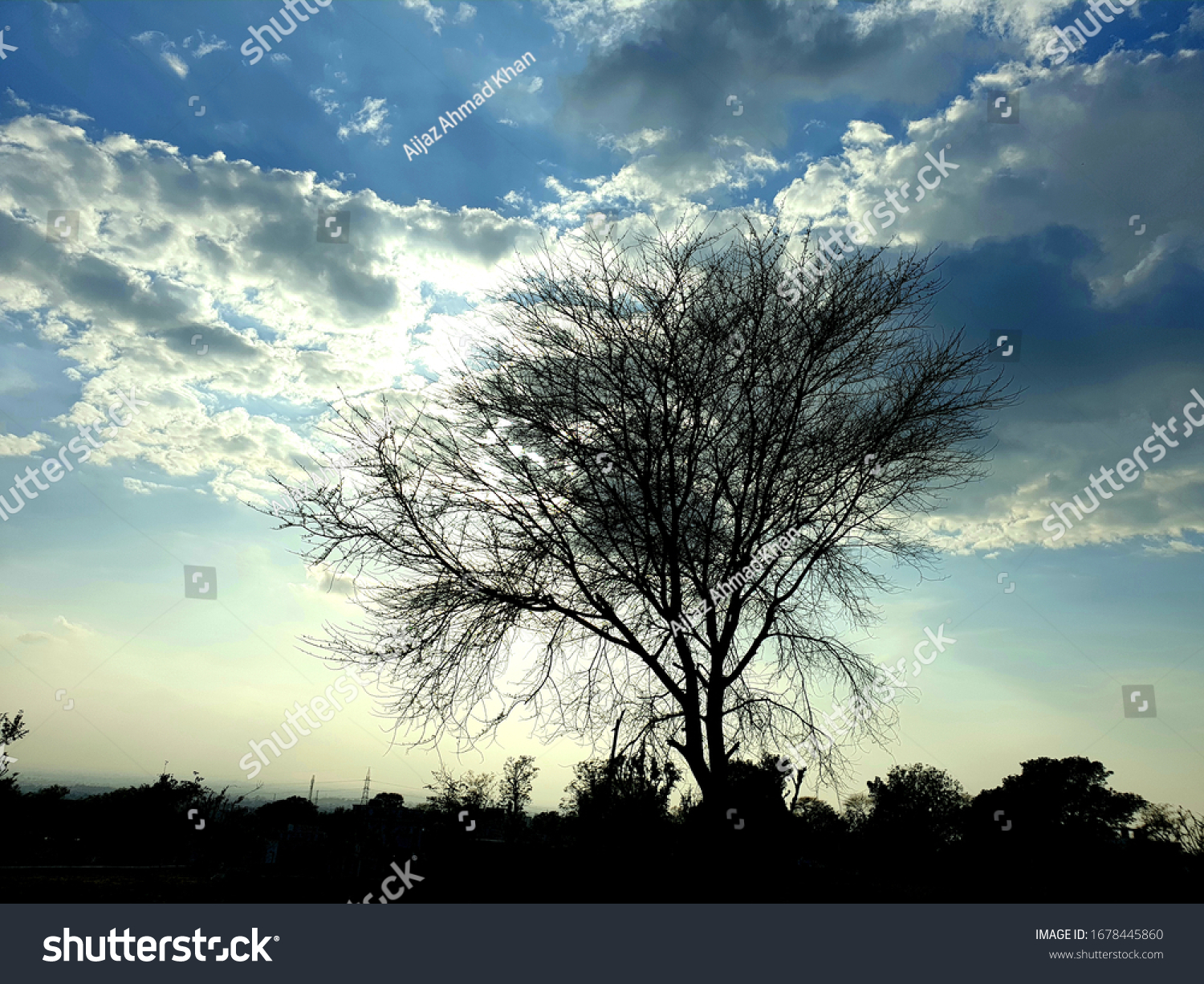 Open beautiful sky a tree and colorful atmosphere . A view of village road jangle forests and electric pools and wires seems. Sky blue white and sun trees are also in frame. A beautiful view #1678445860