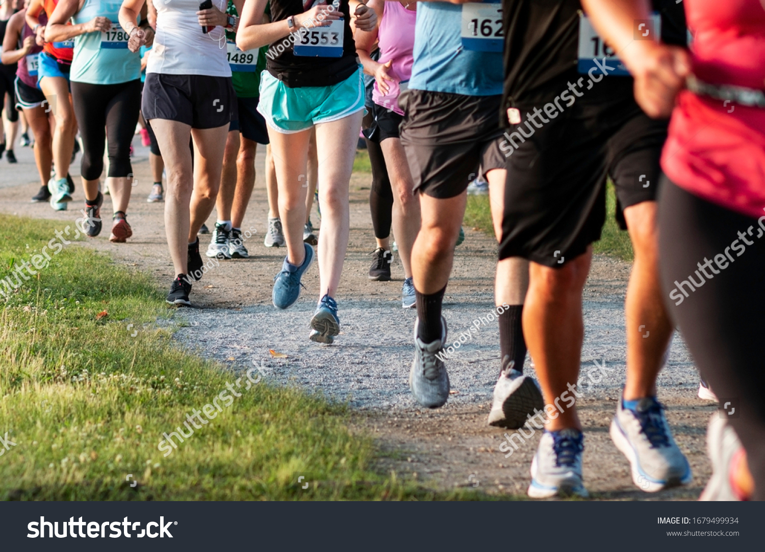 A straight line of runners racing on a dirt path in a State Park during a 5K community race. #1679499934
