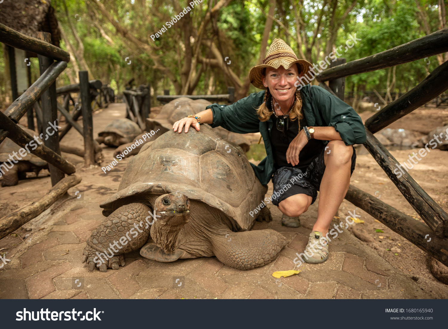Young woman with a turtle, Zanzibar, Tanzania, Africa #1680165940