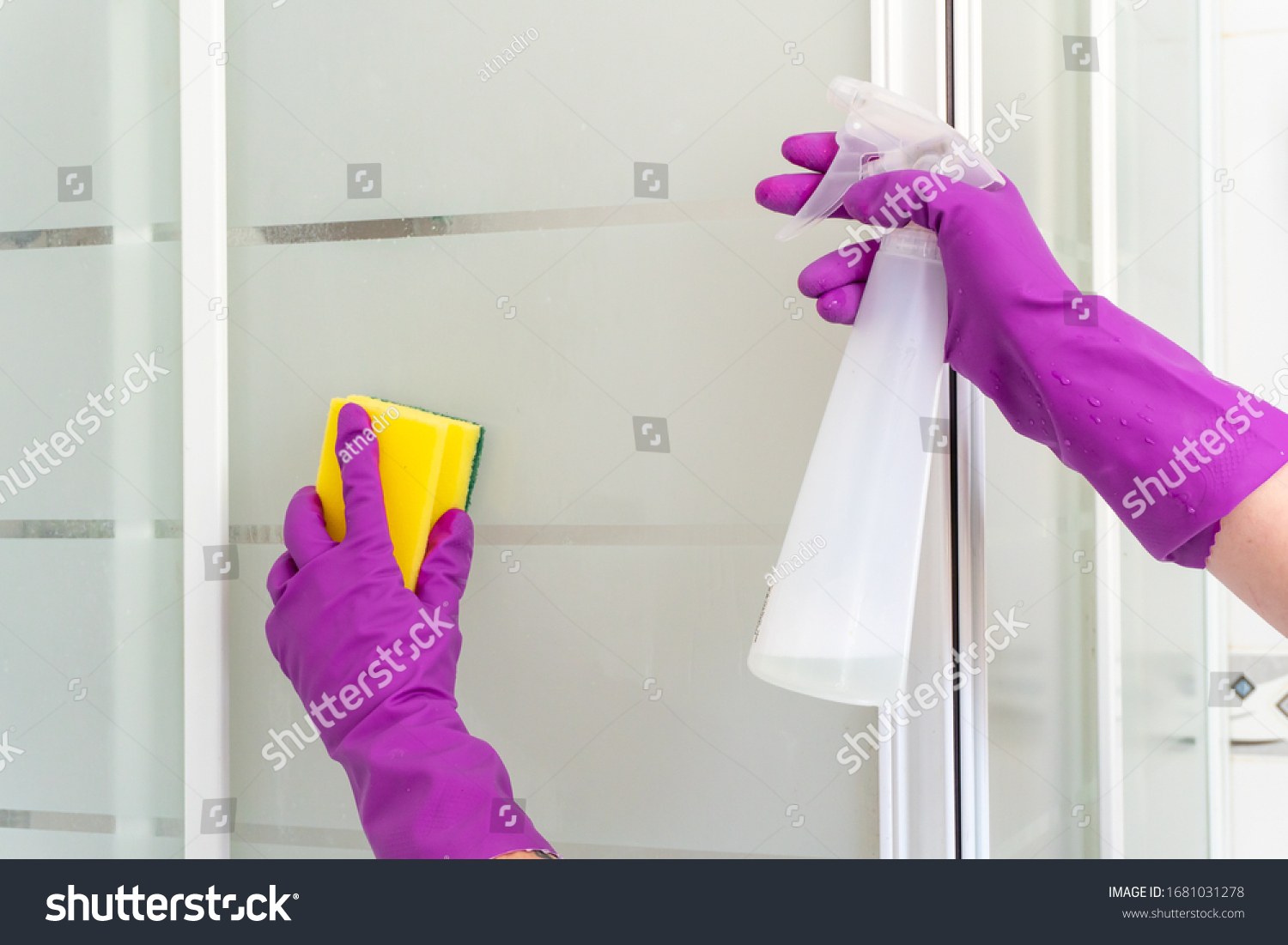 Female hands cleaning white, transparent shower cabin with yellow and green sponge and white spray bottle in bright, pink rubber gloves closeup. #1681031278