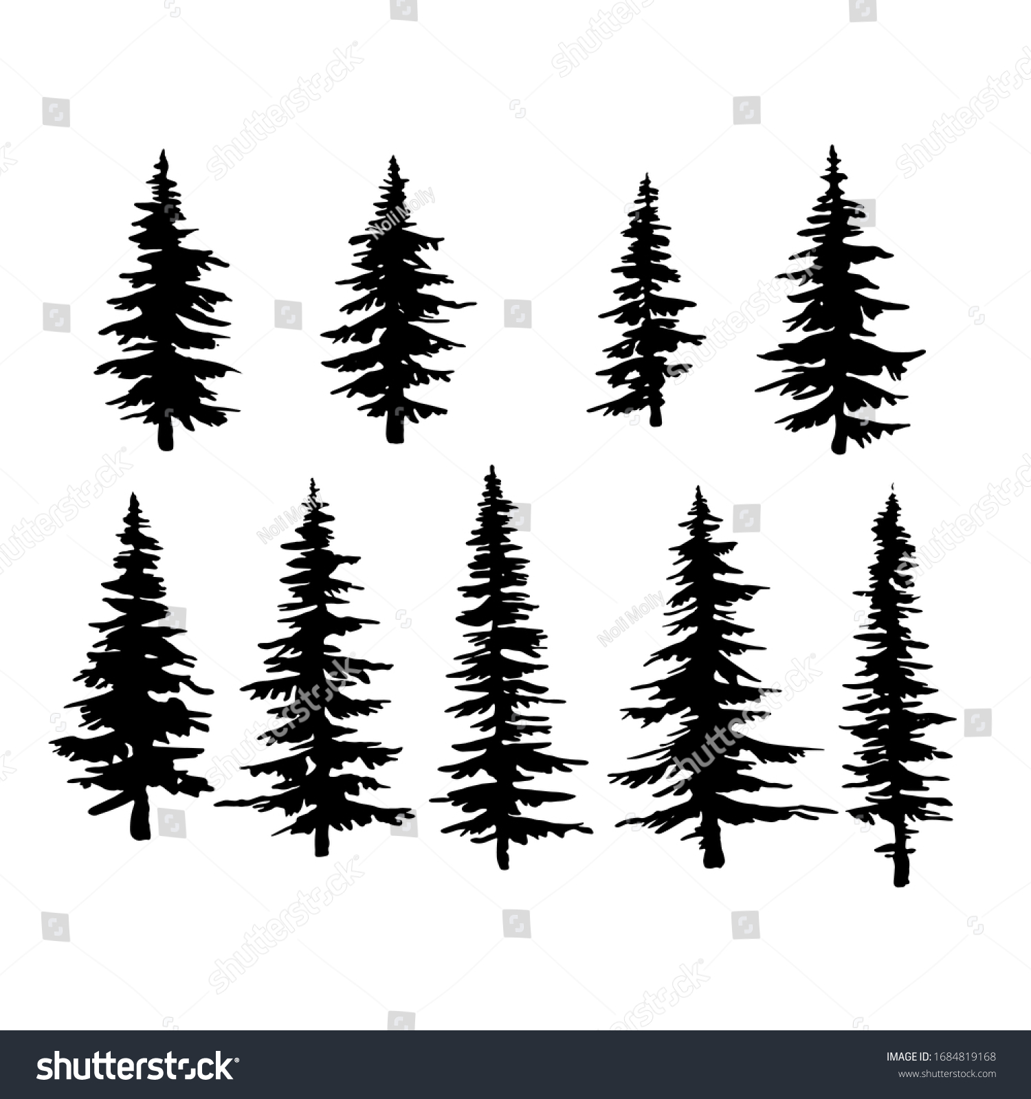 vector spruce tree, ink plant sketch, hand drawing, black silhouette  #1684819168