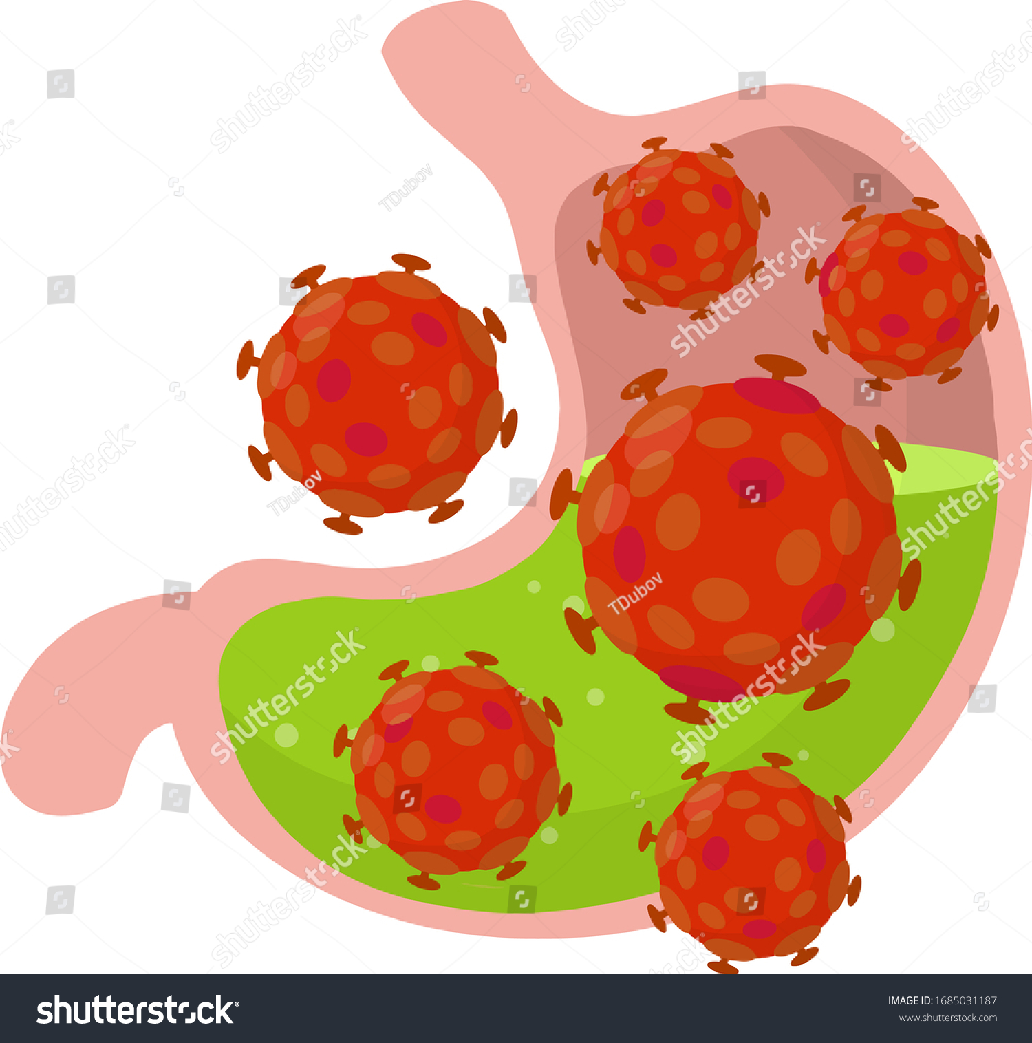 Human stomach. Viral infection. Digestive Royalty Free Stock Vector