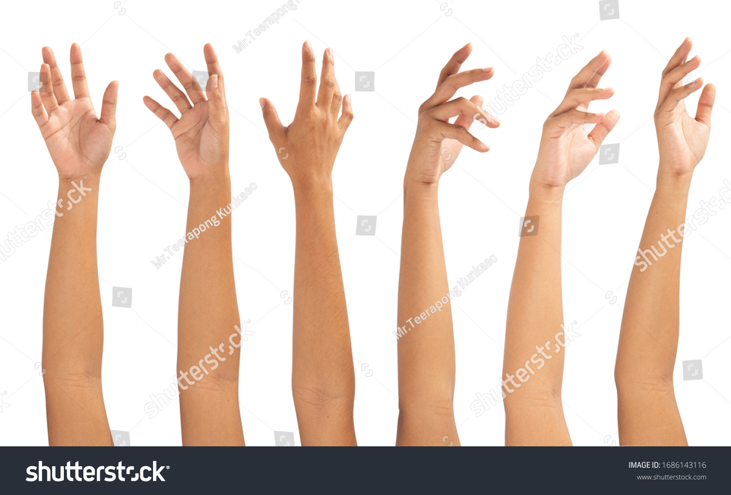 Collage of woman holding on white backgrounds #1686143116