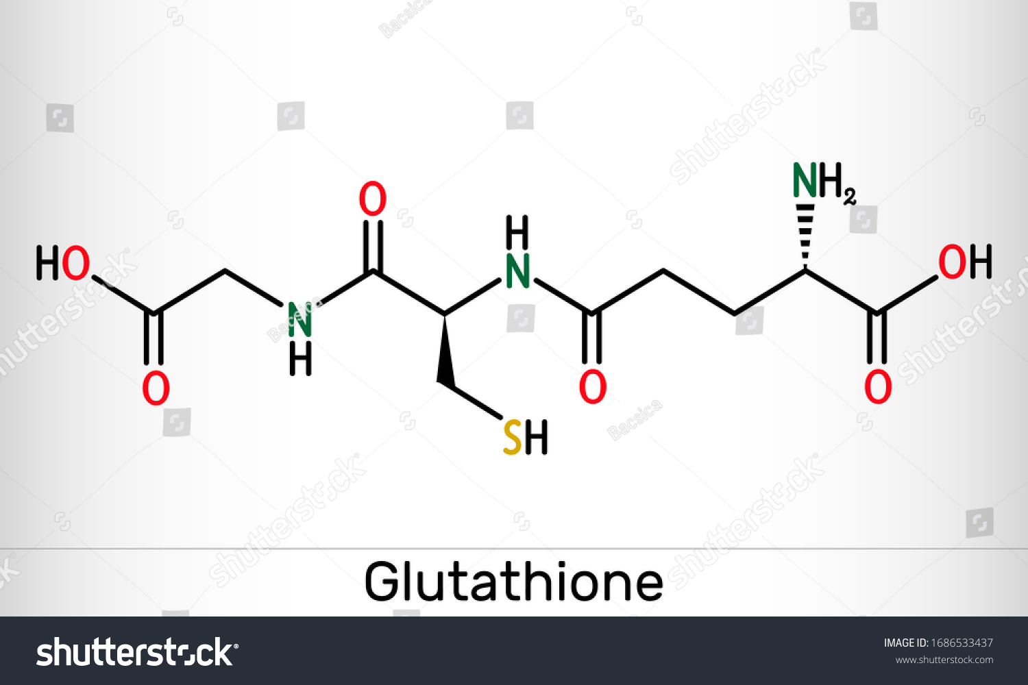 Glutathione Gsh C10h17n3o6s Molecule It Is An Royalty Free Stock Vector 1686533437 3257