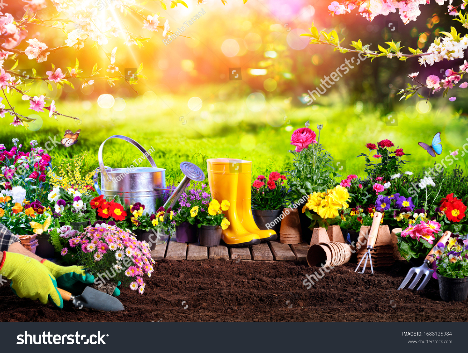 Spring Gardening - Flowerpots An Equipment In Sunny Garden
 #1688125984