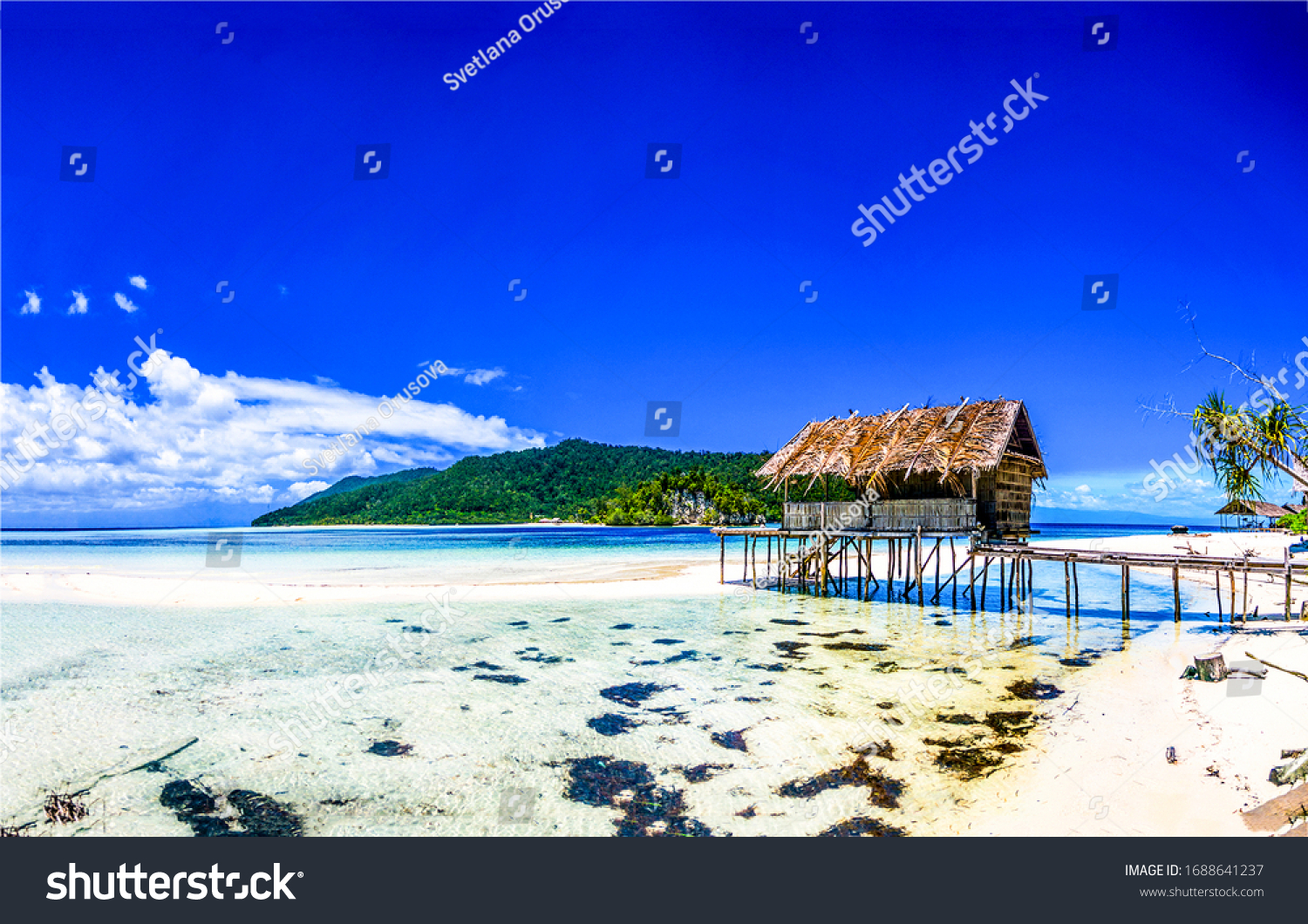 Tropical tourism. Sea island beach bungalow landscape #1688641237