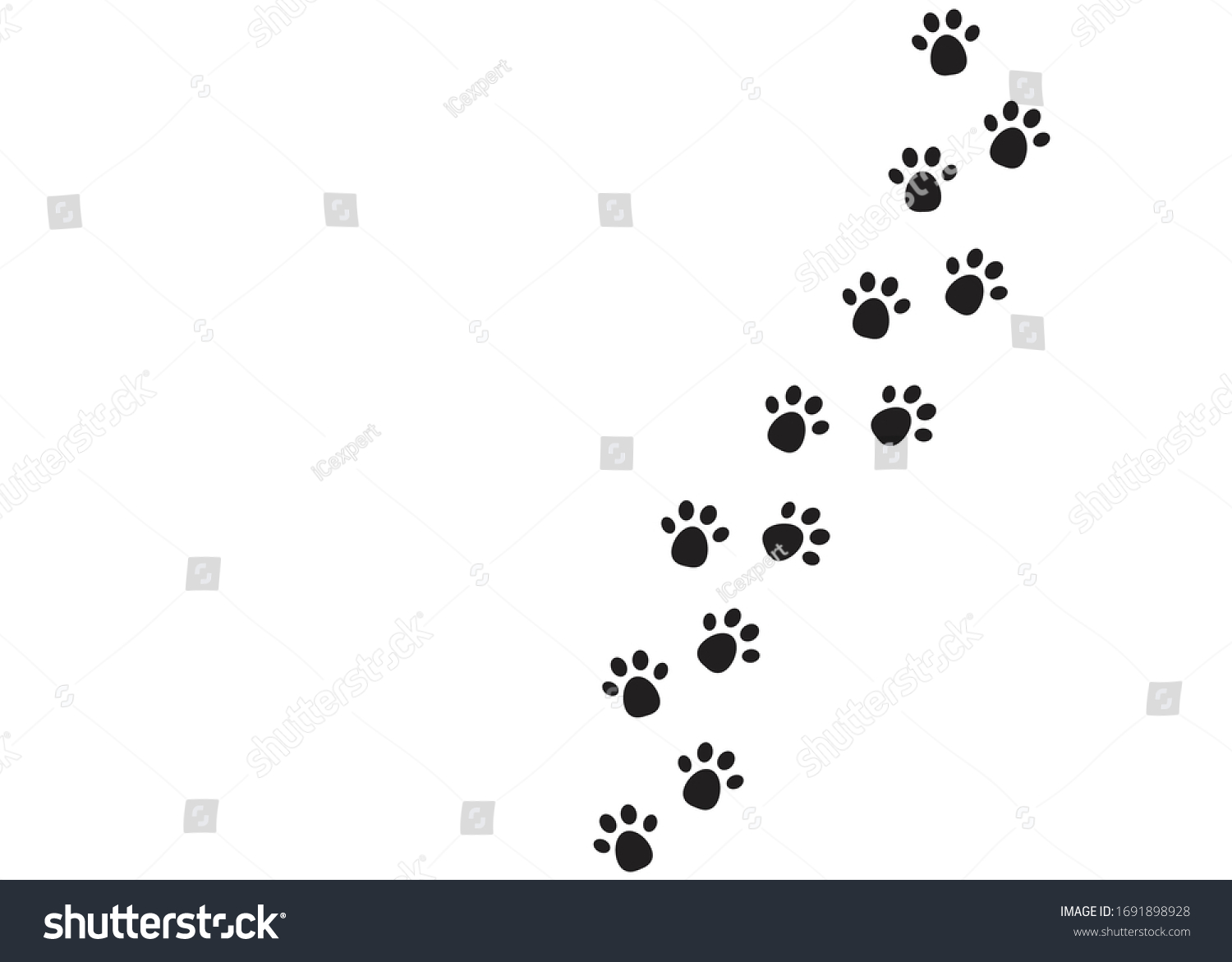 Animal Foot symbols on white background. vector - Royalty Free Stock ...