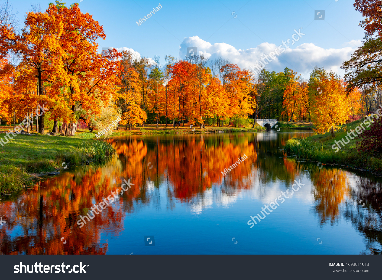 Alexander park in autumn, Pushkin (Tsarskoe Selo), St. Petersburg, Russia #1693011013
