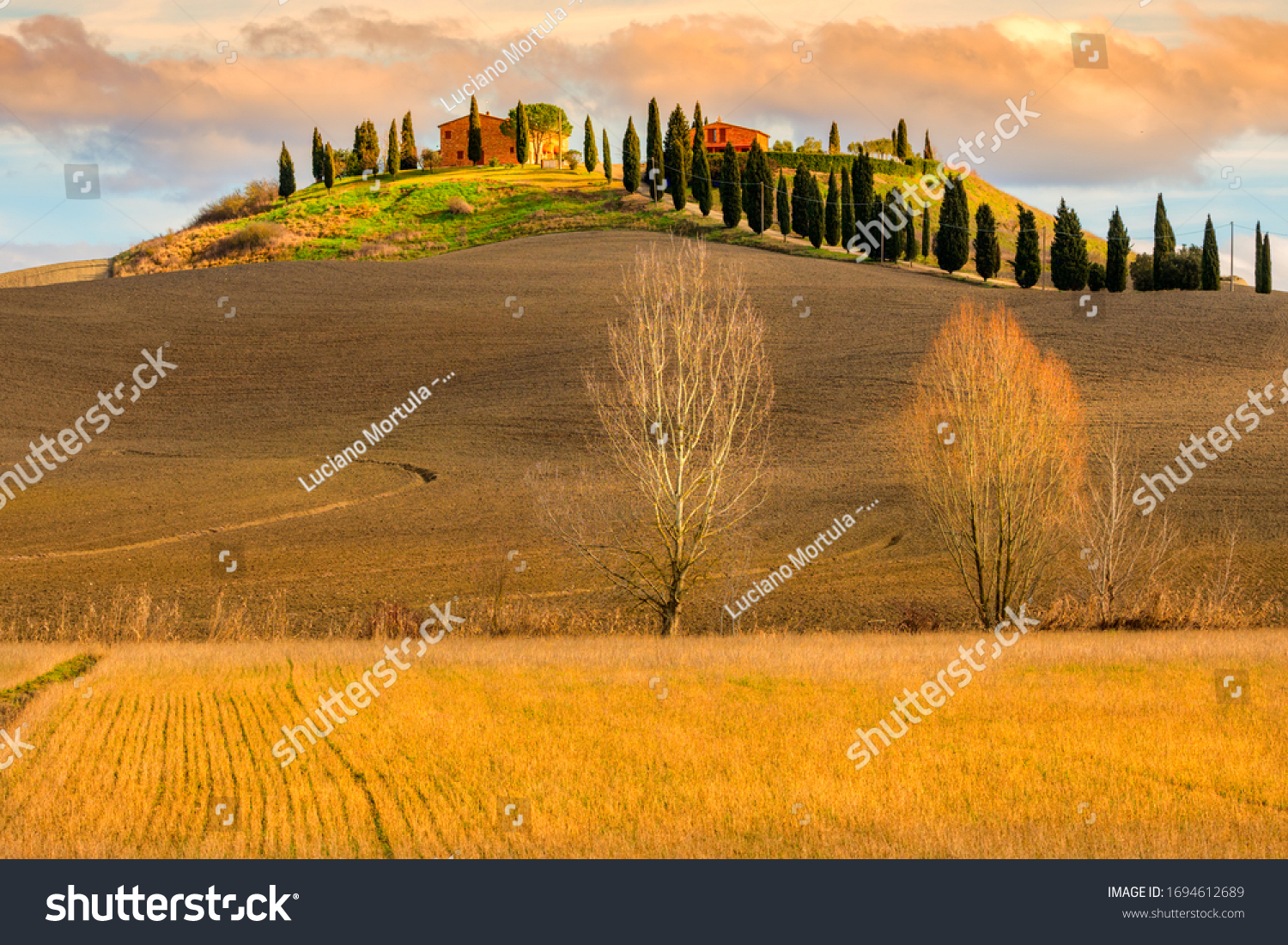 Tuscany, Crete Senesi rural sunset landscape. Countryside farm, cypresses trees, green field, sun light hitting the hill. Siena, Italy. #1694612689
