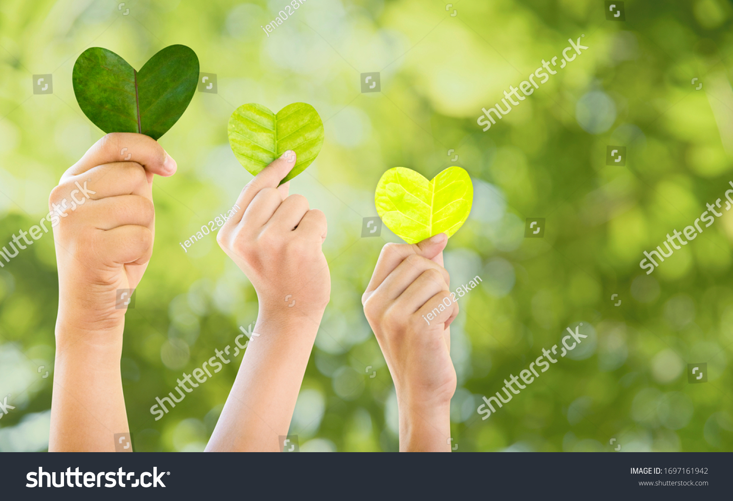 Hands holding green heart shaped tree, planting trees, loving the environment, protecting nature Nourishing the plants World Environment Day To help the world look beautiful, Forest conservation conce #1697161942