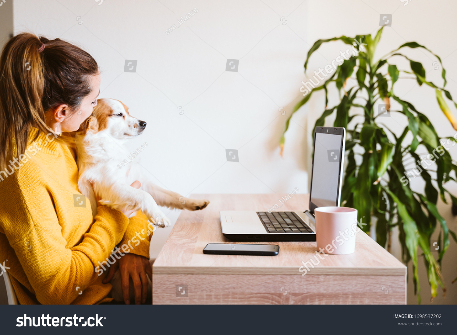 young woman working on laptop at home, wearing protective mask, cute small dog besides. work from home, stay safe during coronavirus covid-2019 concpt #1698537202