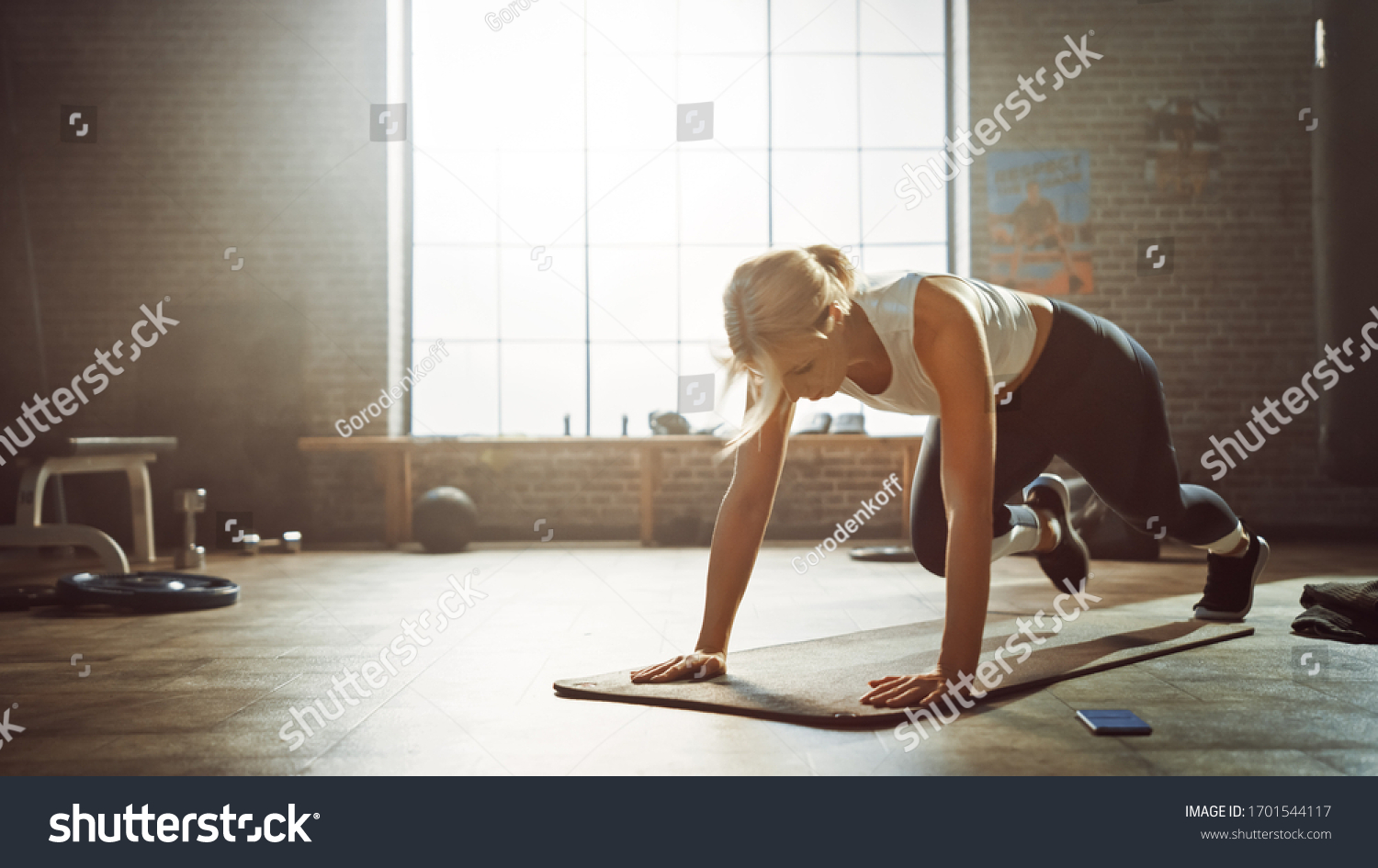 Beautiful and Young Girl Doing Running Plank Exercise on Her Fitness Mat. Athletic Woman Does Mountain Climber Workout in Stylish Hardcore Gym #1701544117