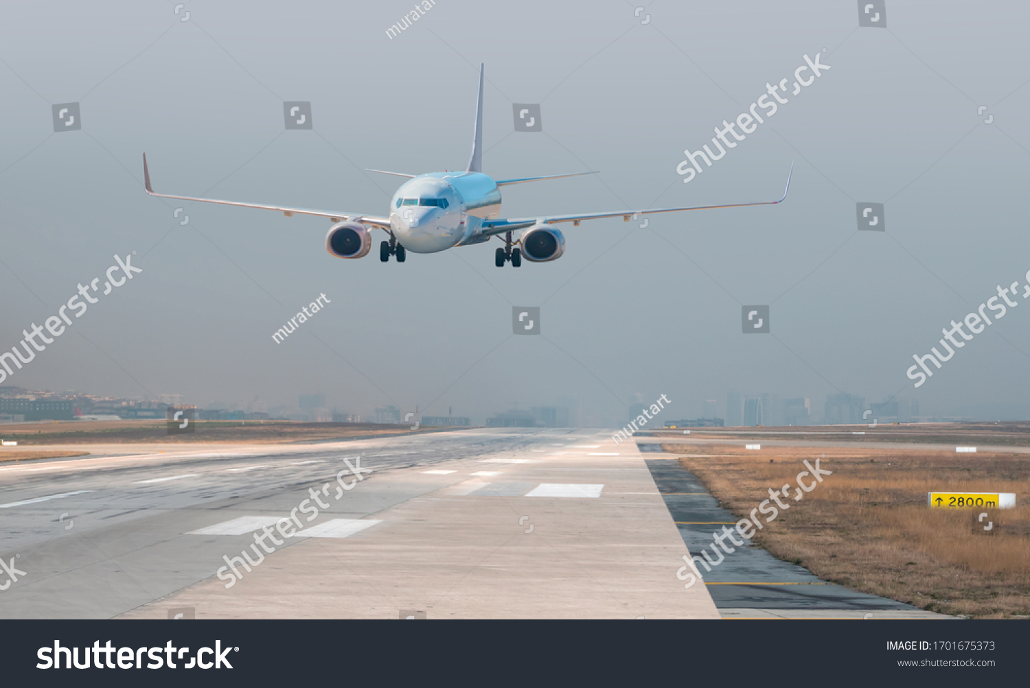 Passenger airplane landing to airport #1701675373