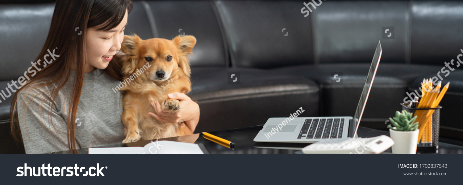 Pretty asian woman working remotely from home using laptop sitting on the couch or sofa in living room for work online with pet puppy cute dog and guardian, work life balance concept #1702837543