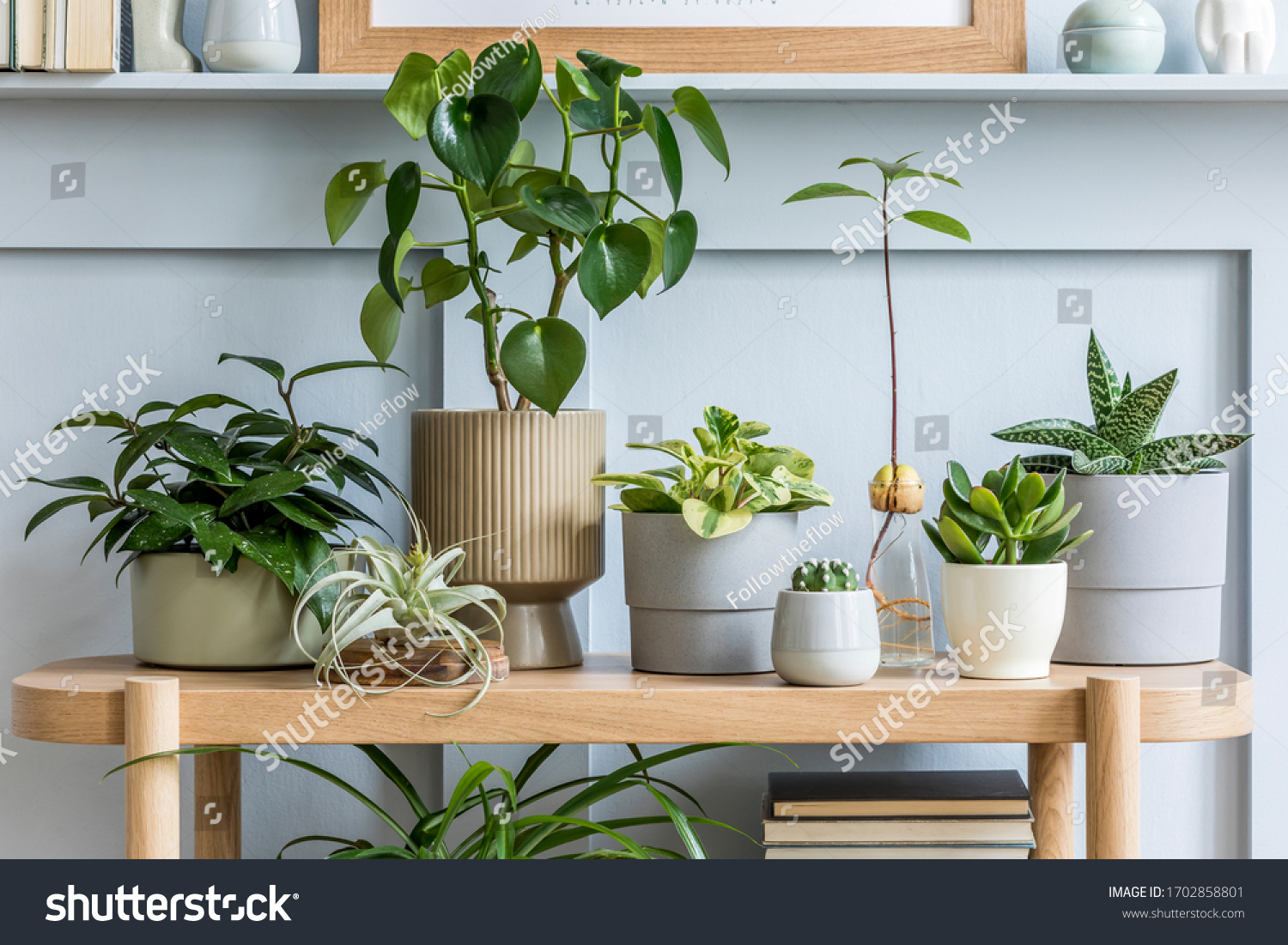 Interior design of living room with wooden console, beautiful composition of plants in different hipster and design pots, books and elegant personal accessories in home garden. #1702858801