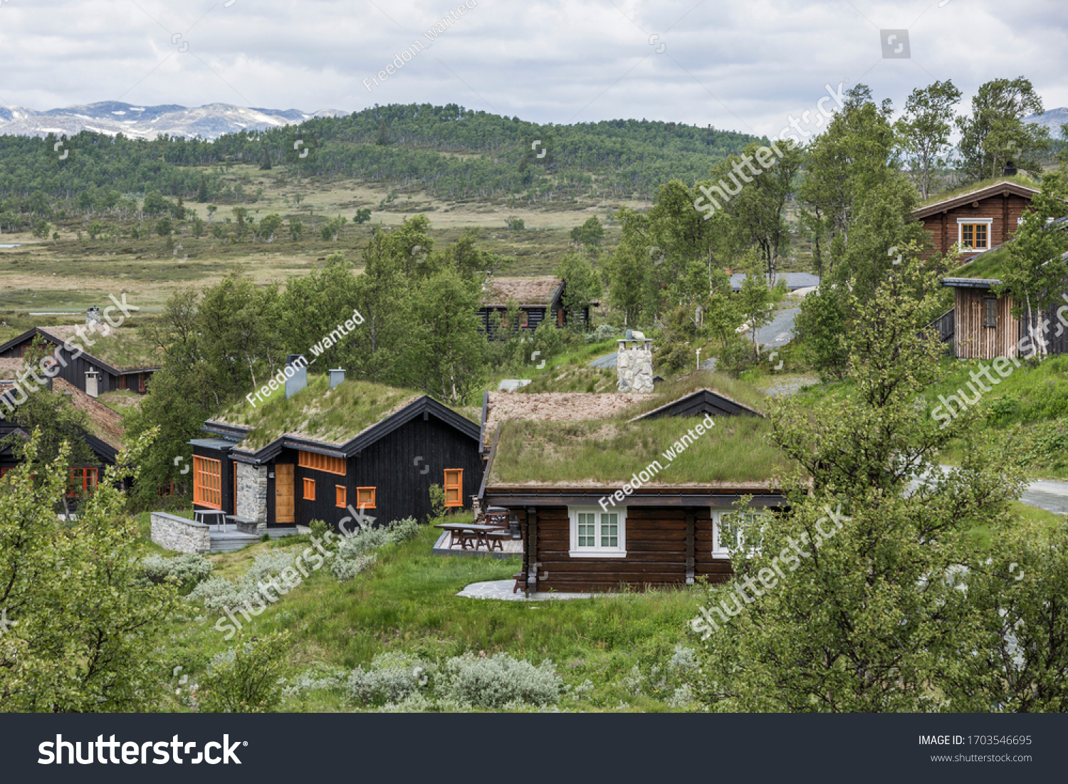 typical houses with moss covered roofs in Hardangervidda national park, Norway #1703546695
