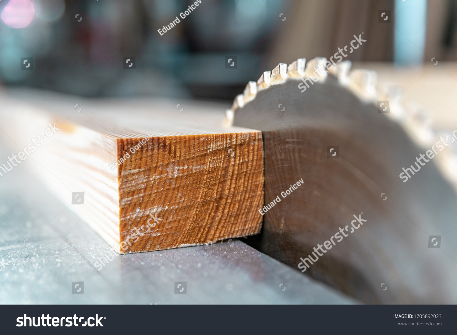 toothed metal blade on circular saw in joinery #1705892023