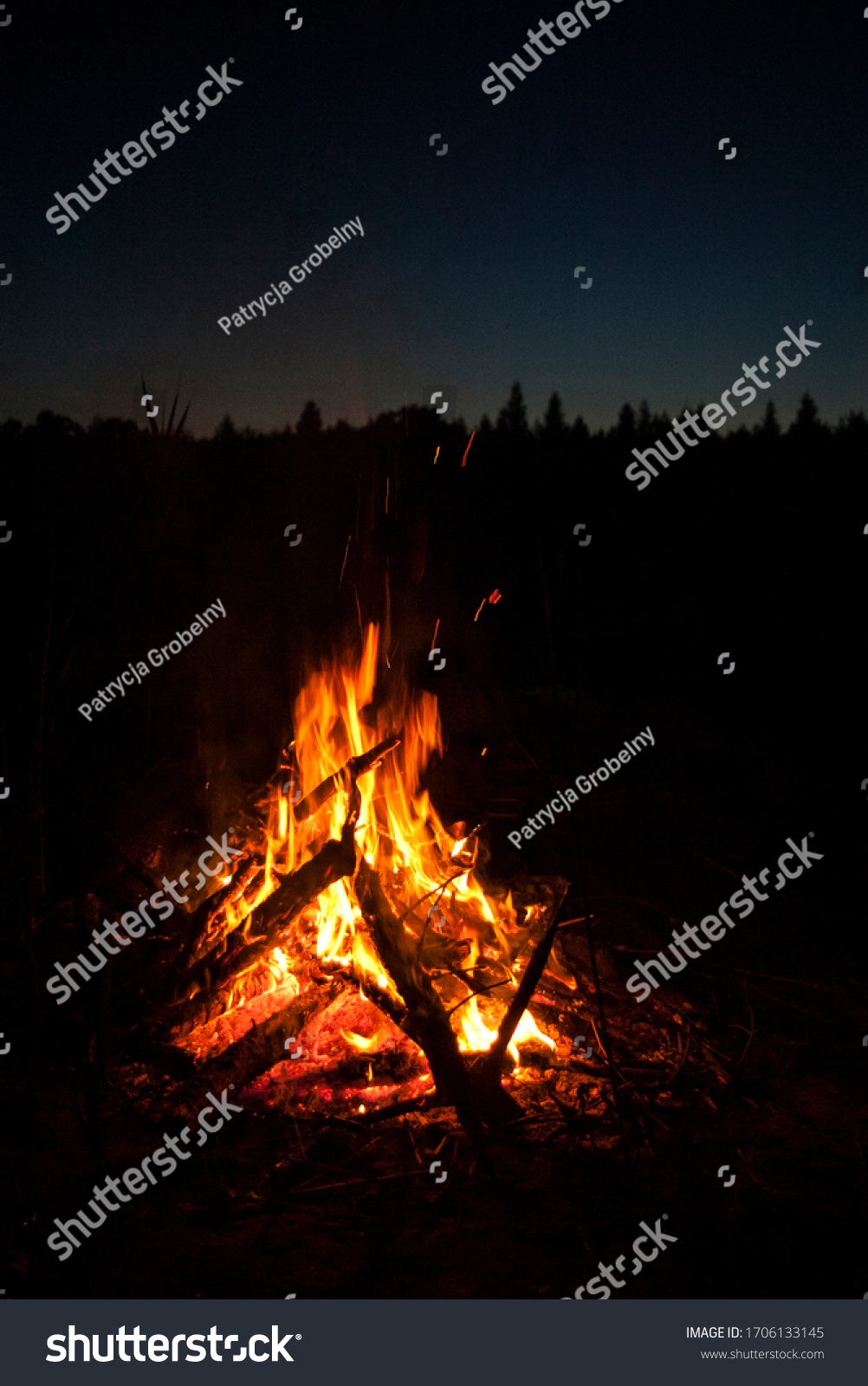 Campfire in the forest at night  #1706133145