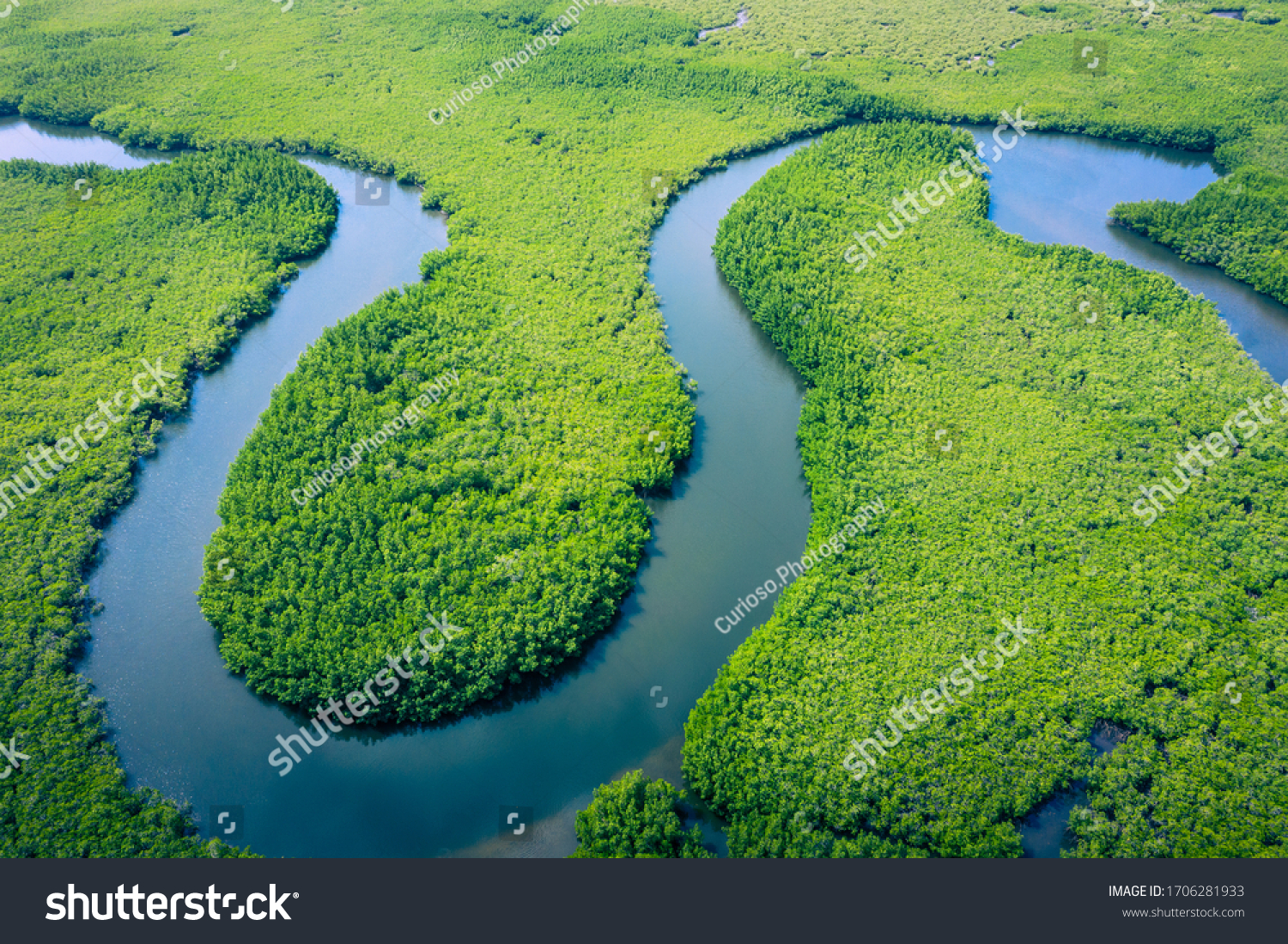 Aerial view of Amazon rainforest in Brazil, South America. Green forest. Bird's-eye view.  #1706281933
