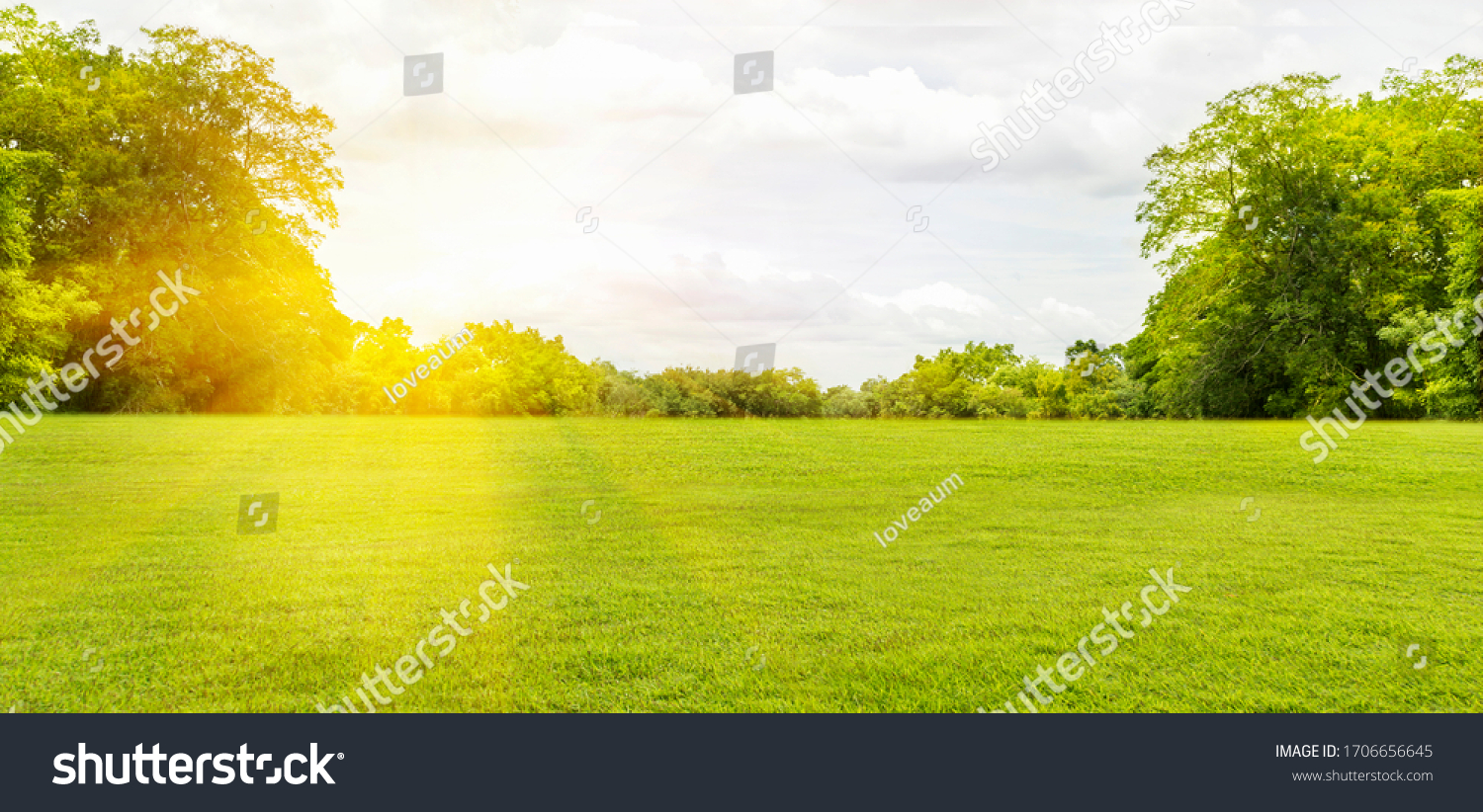 Panorama and tropical garden and green grass, the sun shines. #1706656645