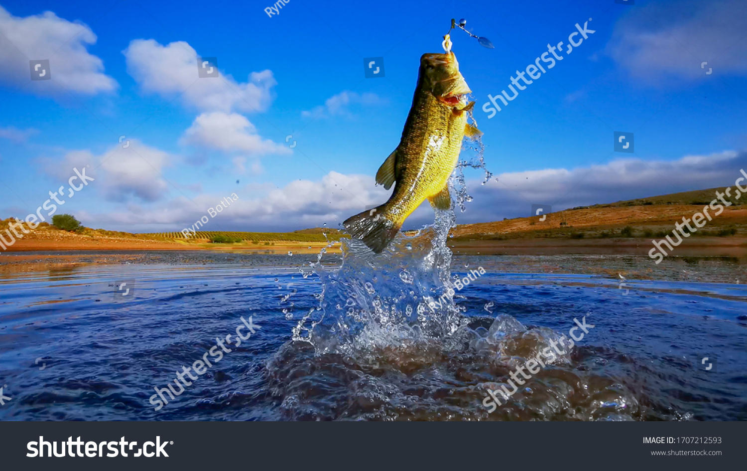 Big Bass Large mouth - Fishing on lake with blue sky at dawn, sunrise #1707212593