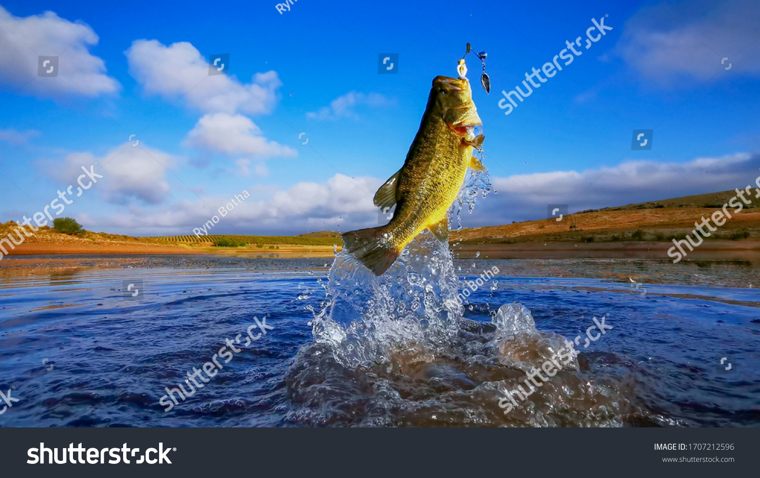 Big Bass Large mouth - Fishing on lake with blue sky at dawn, sunrise #1707212596