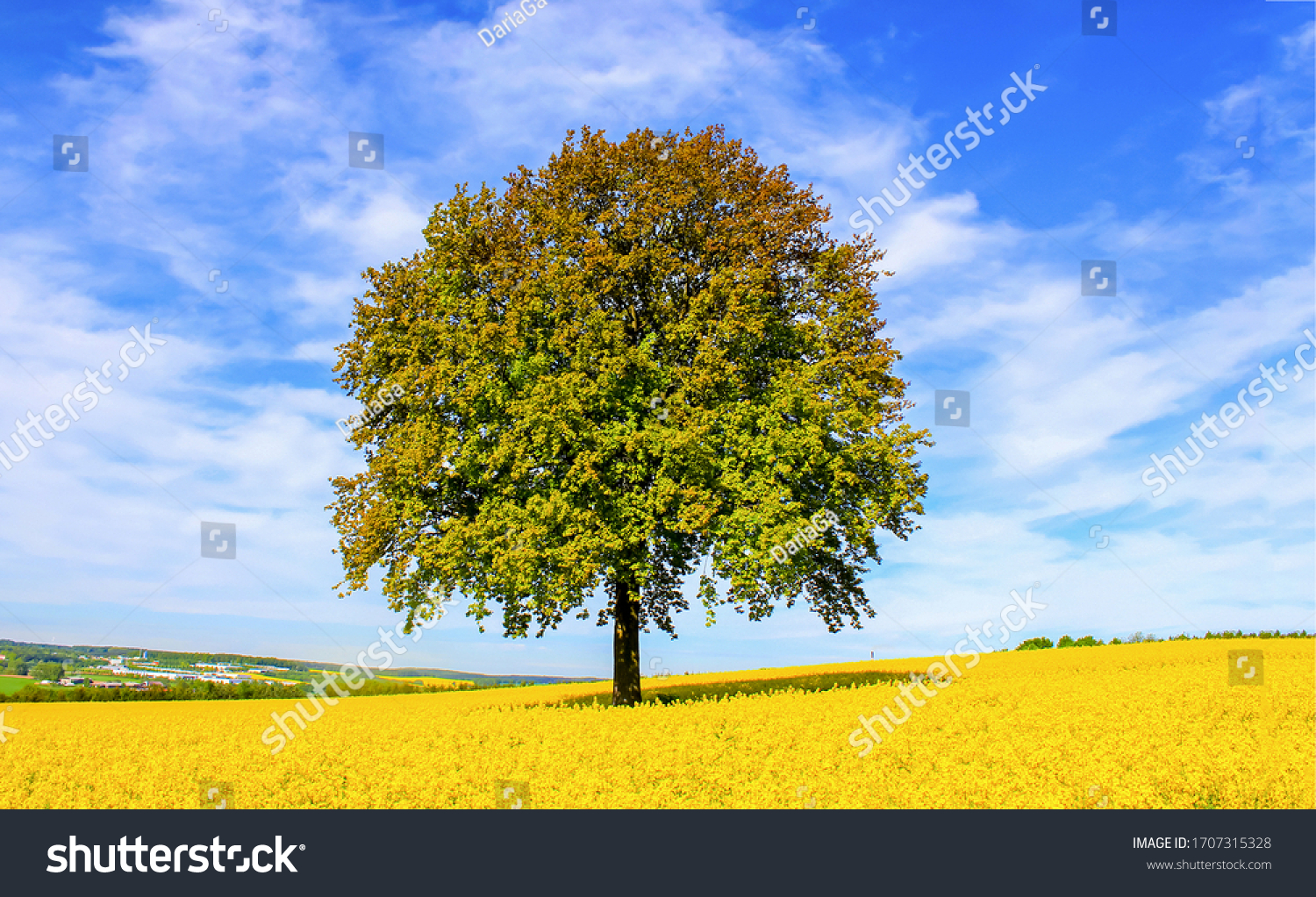 Lonely tree in meadow yellow  flowers on countryside #1707315328