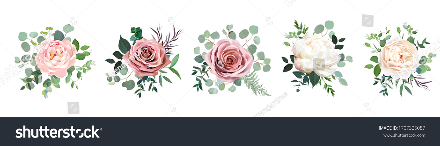 Dusty pink blush, white and creamy rose flowers vector design wedding bouquets. Eucalyptus, greenery. Floral pastel watercolor style. Blooming spring floral card. Elements are isolated and editable #1707325087