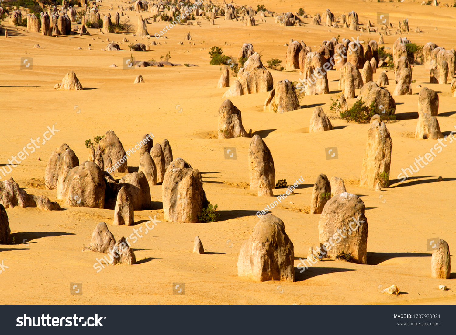 The Pinnacles, Nambung National Park, Cervantes, West Australia, Australia. #1707973021