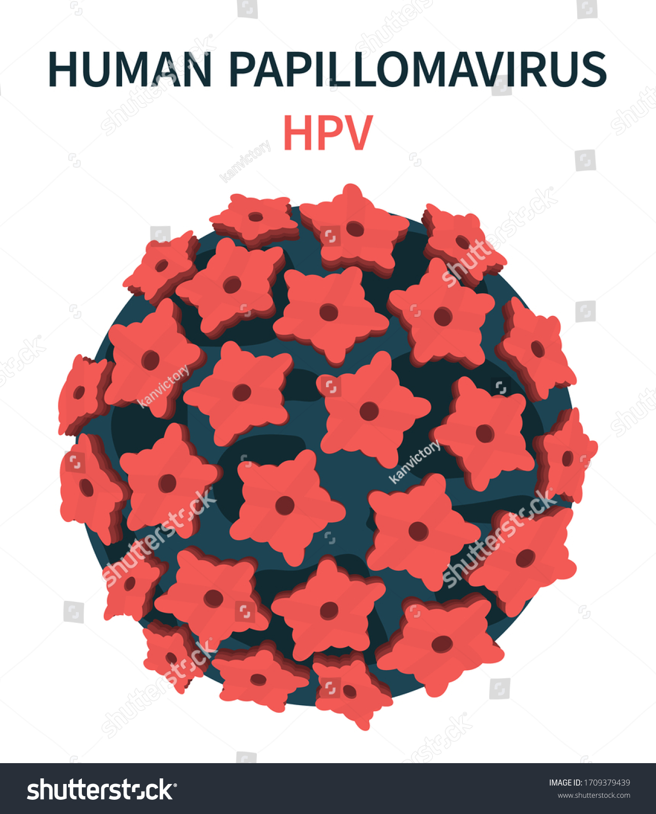 Enlarged image of the human papillomavirus (HPV) - Royalty Free Stock ...