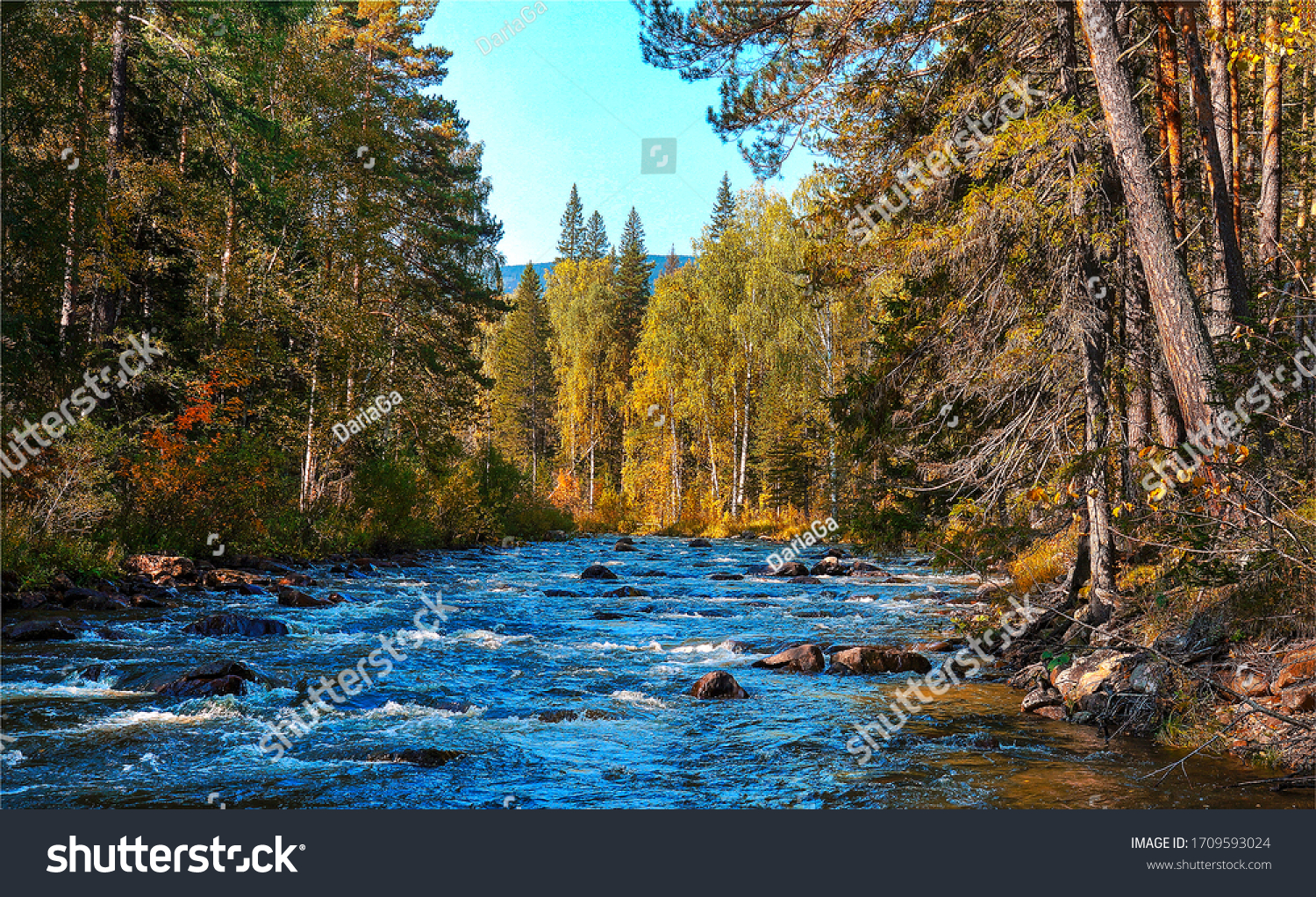 Forest trees by river water landscape #1709593024