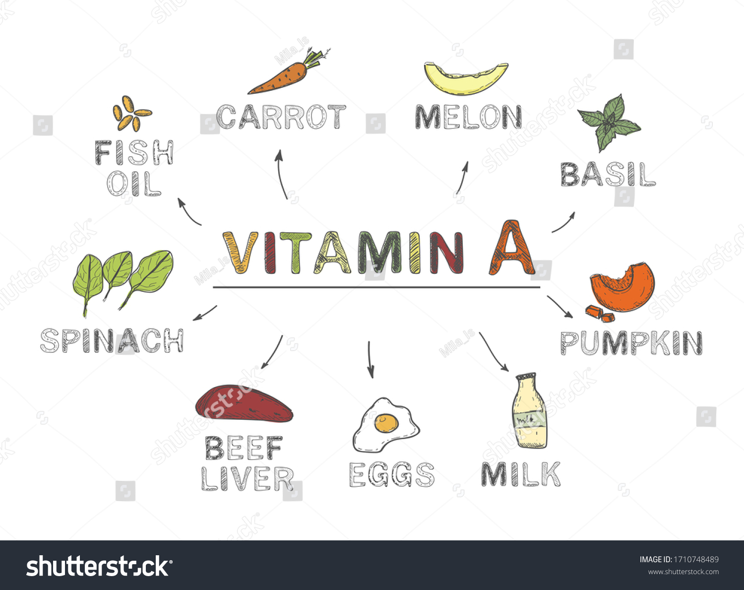 Vitamin A Infographics Foods Rich In Vitamin A Royalty Free Stock Vector Avopix Com