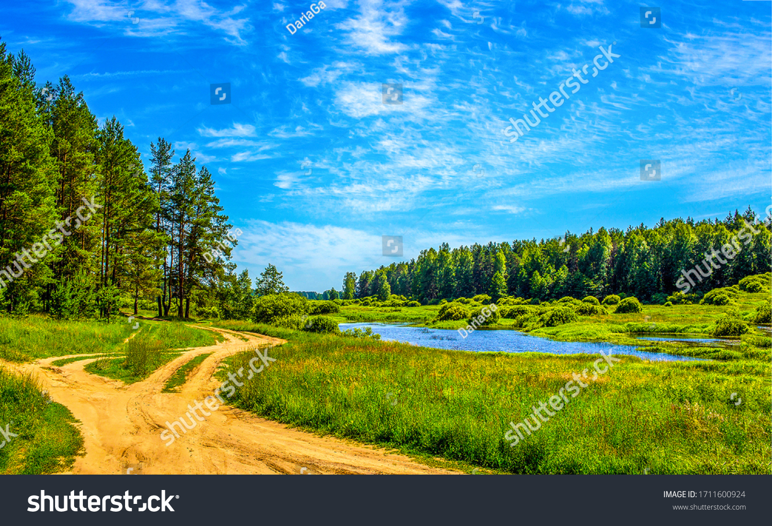 Summer lake on green natur landscape #1711600924