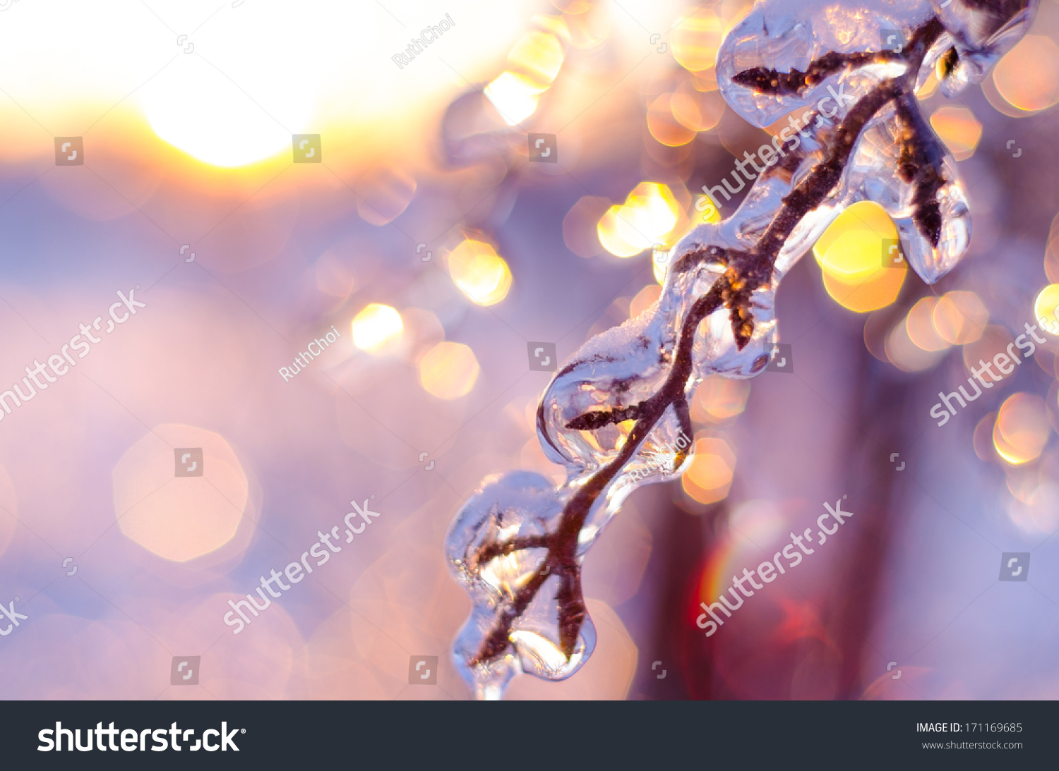 Beautiful sparkling Winter scene #171169685