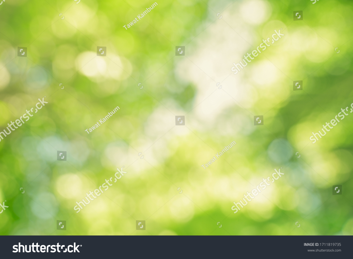 abstract blur green color for background,blurred and defocused effect spring concept for design,nature view of blurred greenery background in garden using as background natural,fresh wallpaper concept #1711819735