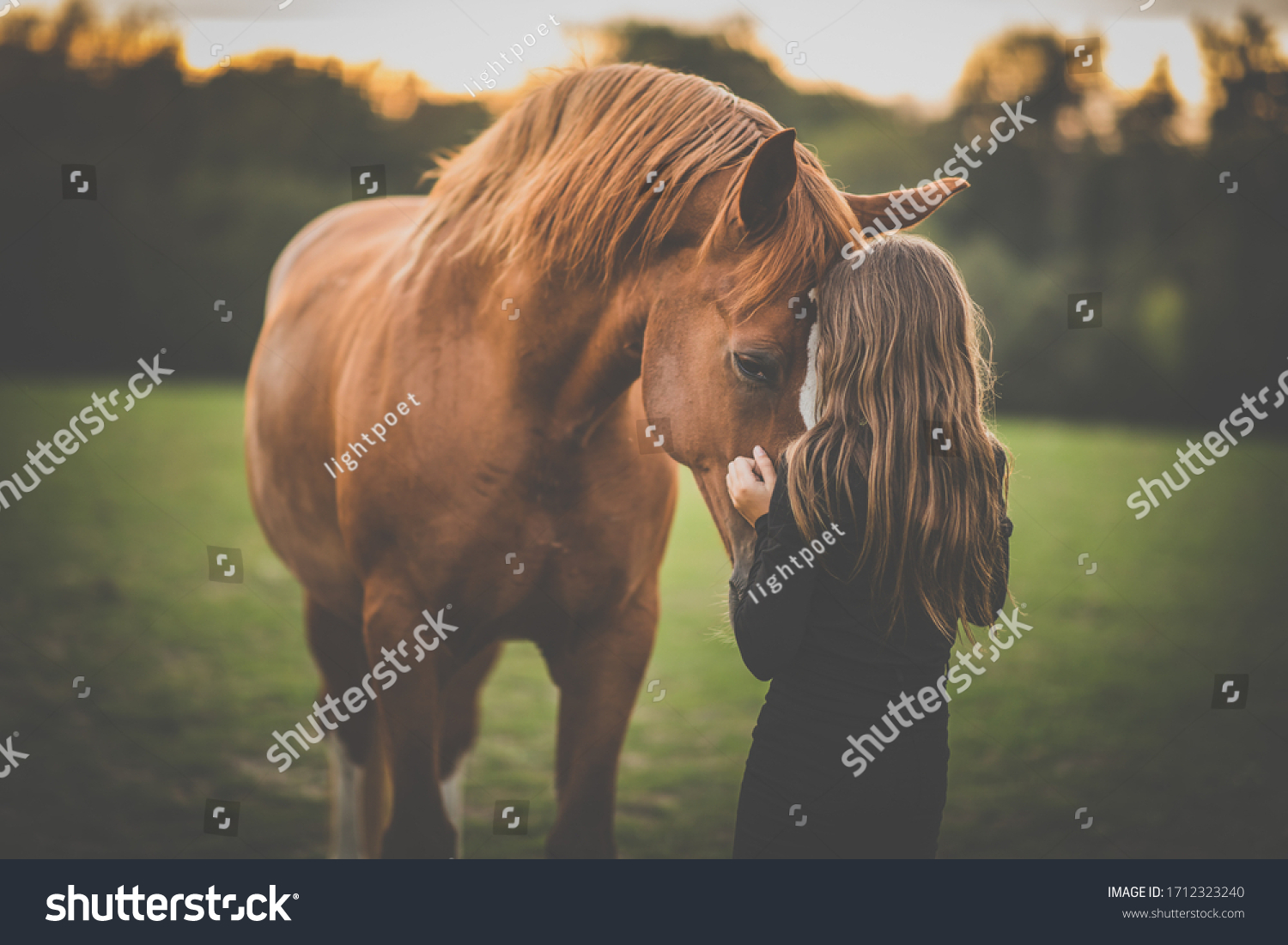 Cute little girl with her horse on a lovely meadow lit by warm evening light #1712323240