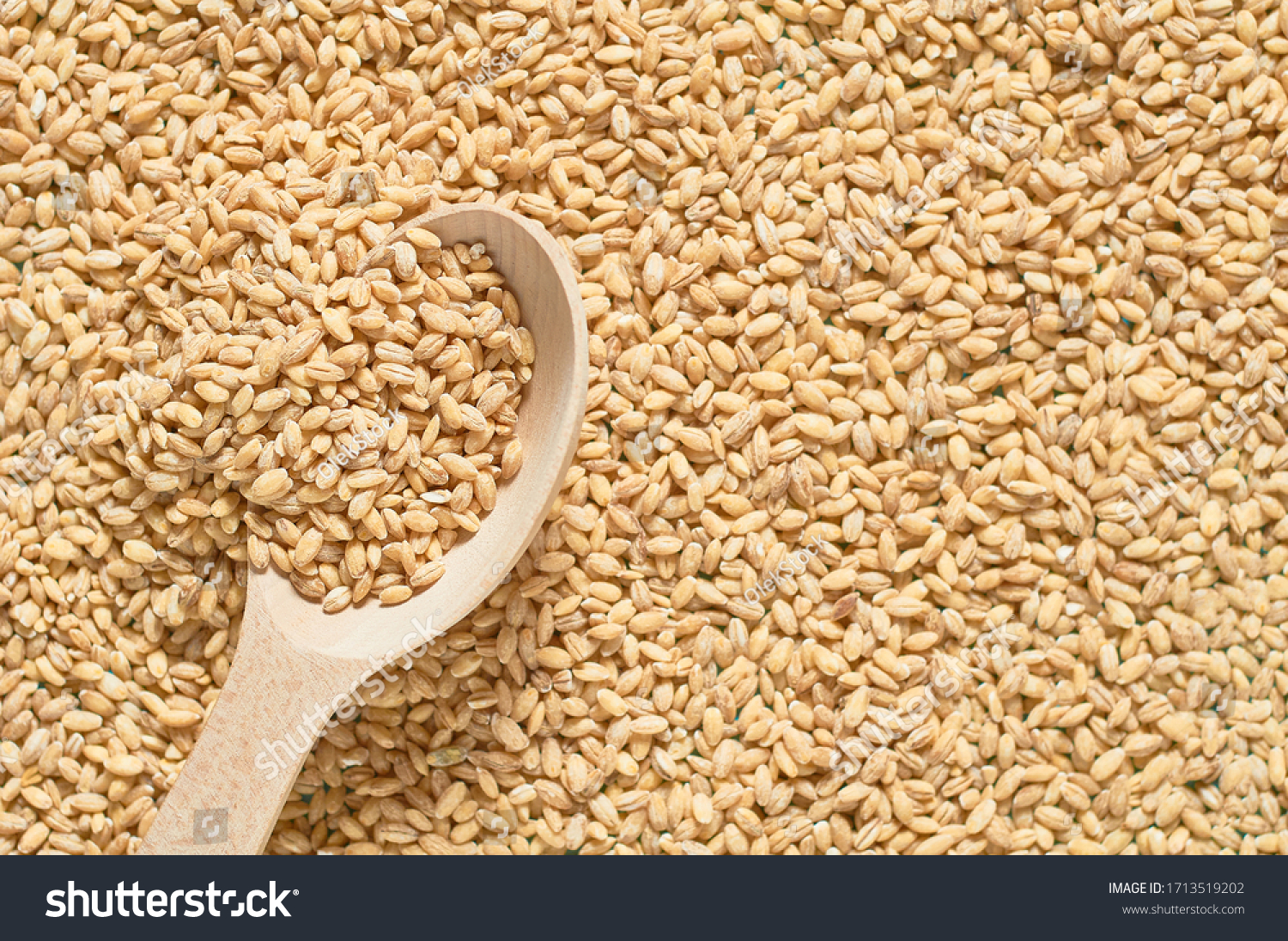 Scattered grain of pearl barley and wooden spoon #1713519202