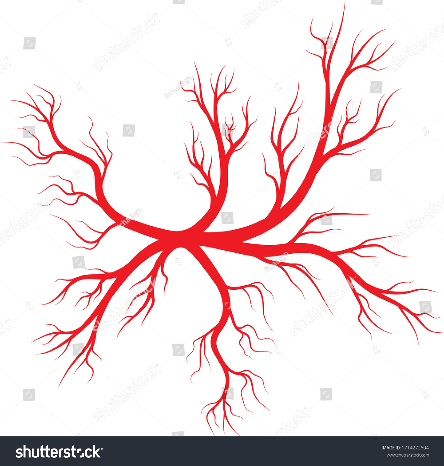 Human Veins And Arteries Illustration Design Royalty Free Stock Vector 1714272604 9203