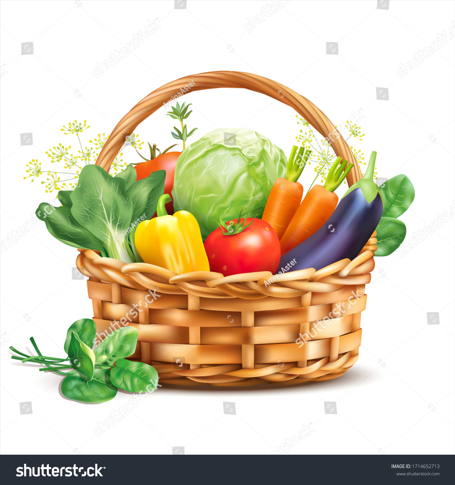 Basket with vegetables and herbs isolated on white. Vector illustration. #1714652713