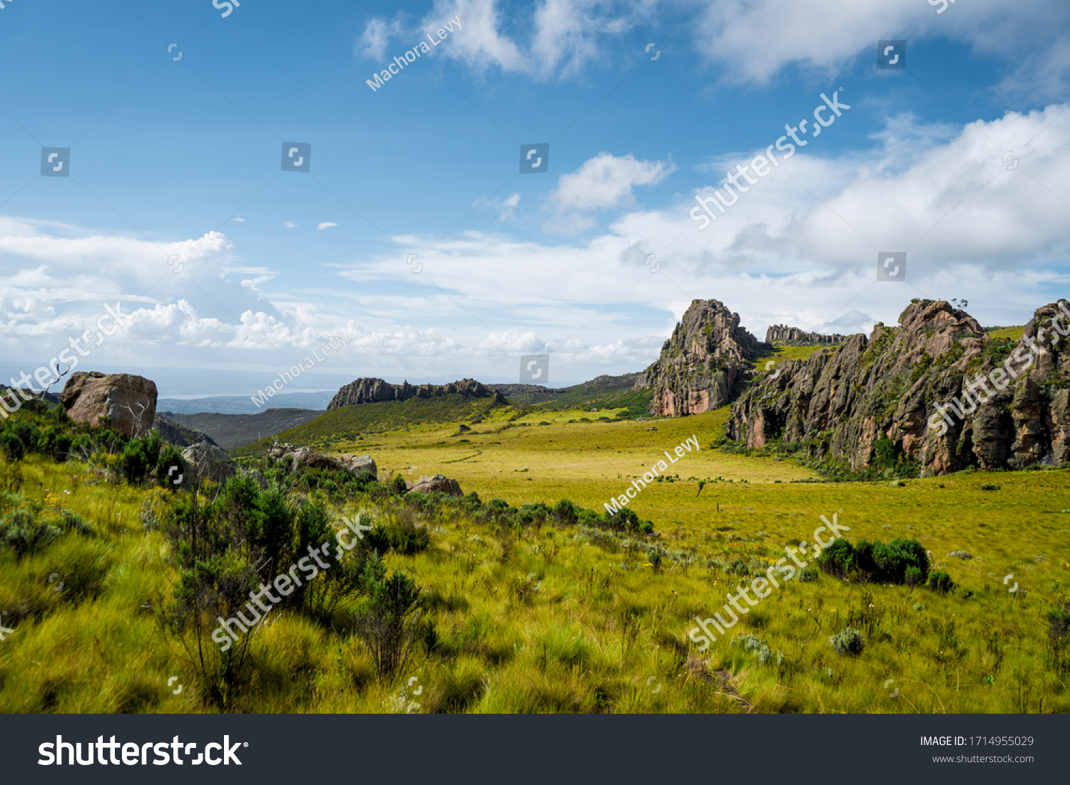 Aberdare ranges Kenya beautiful landscape (Aberdare national Park) #1714955029
