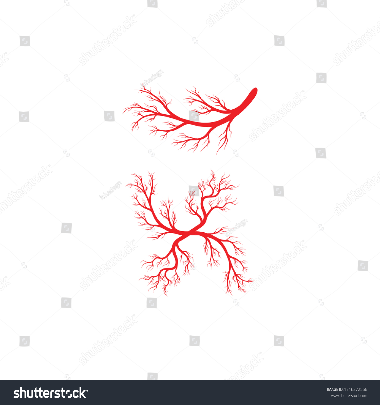 Human veins and arteries illustration design - Royalty Free Stock ...