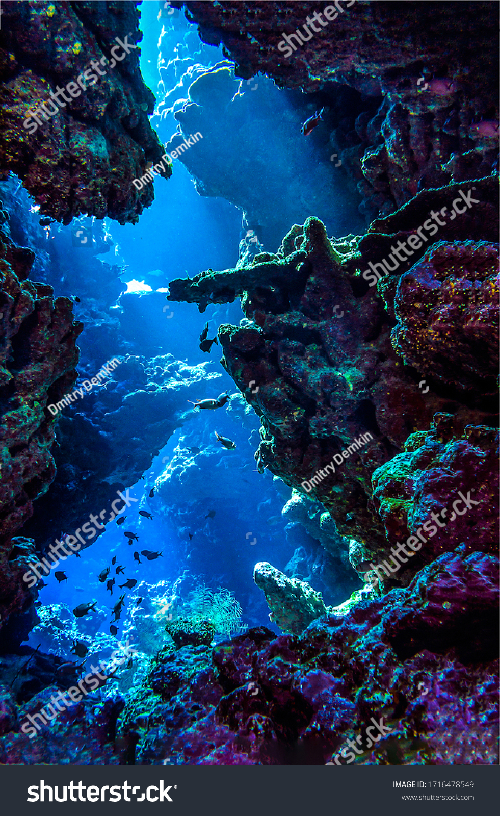 Deep sea cave in underwater diving #1716478549
