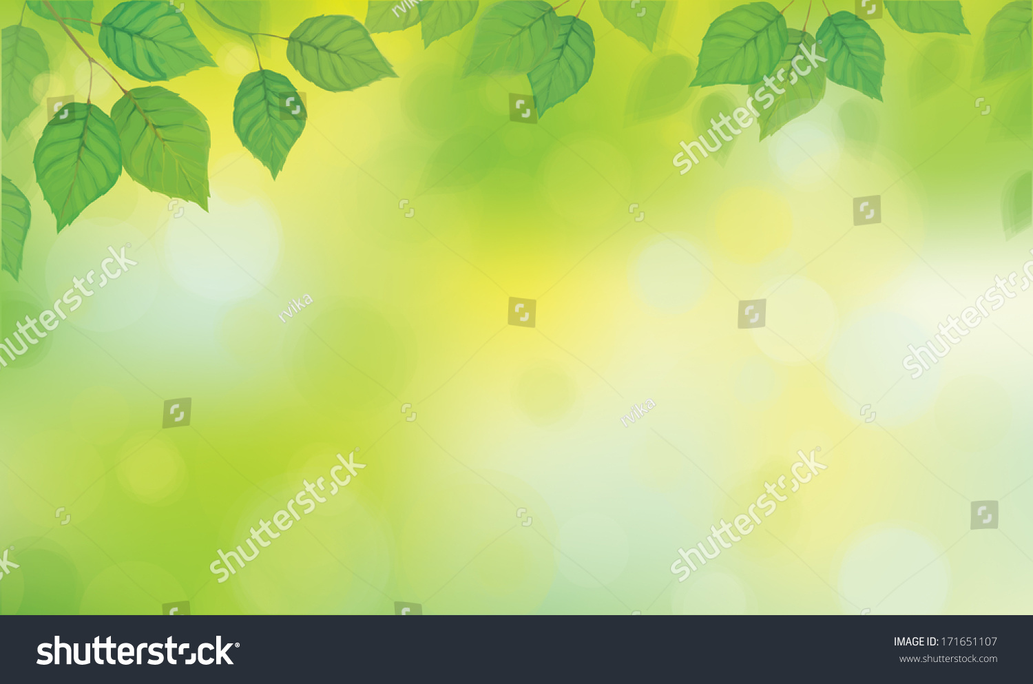 Vector green leaves  branches on sunshine background. #171651107
