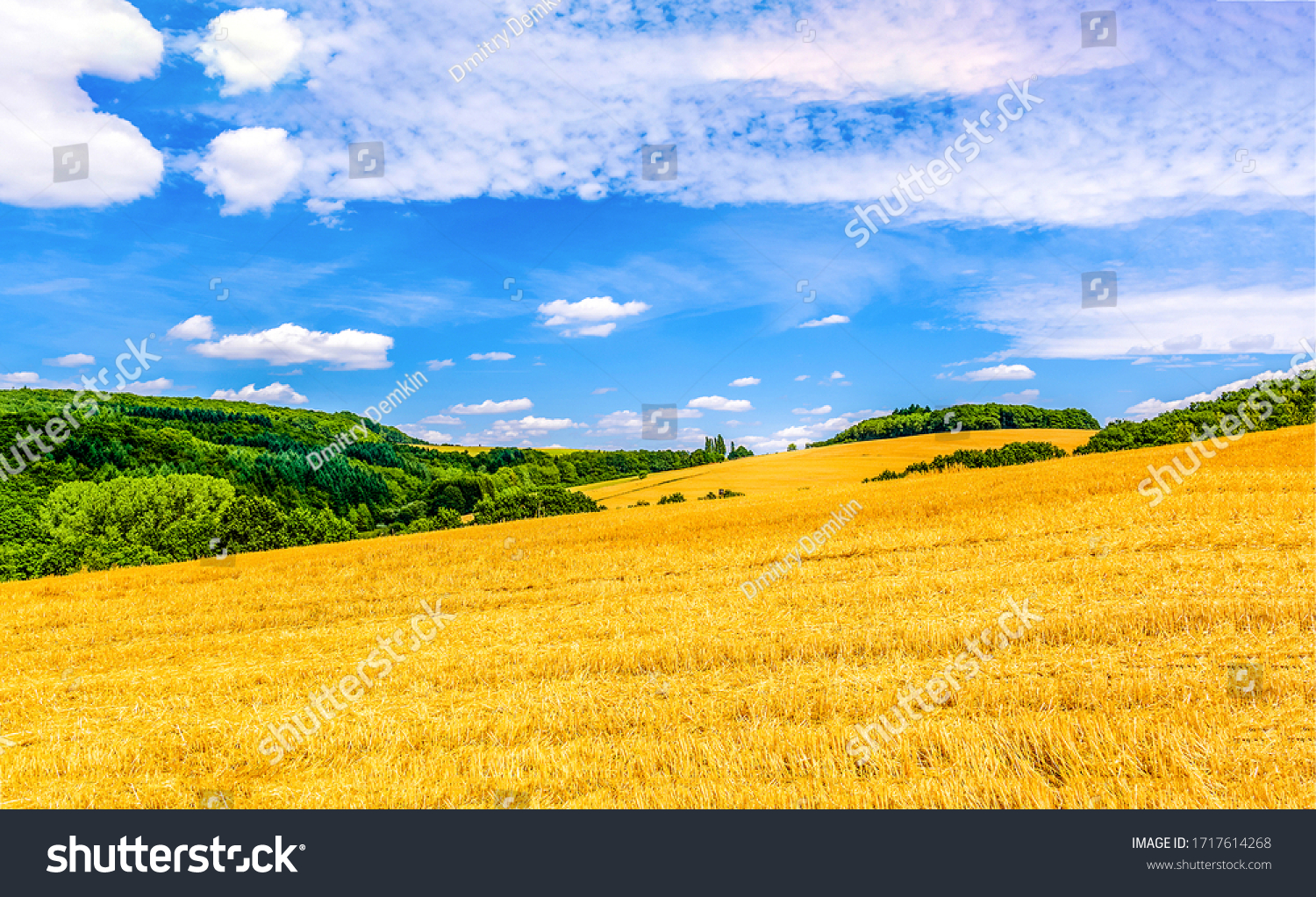 Yellow wheat field farm landscape #1717614268