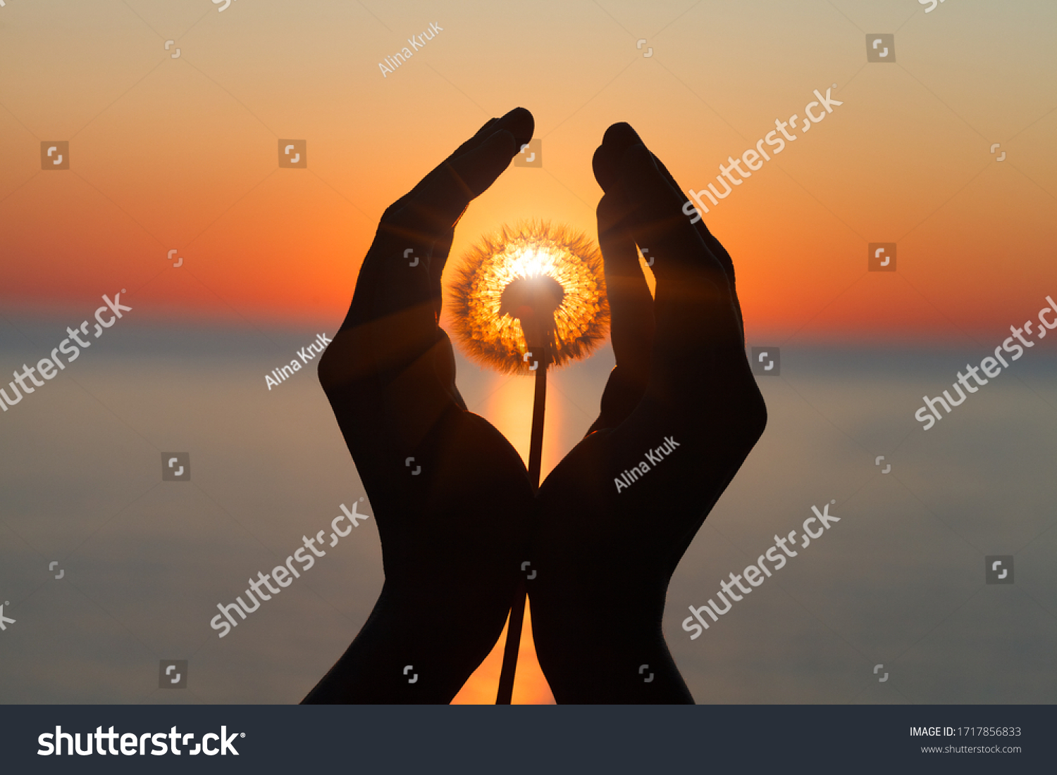 dandelion flower in young woman's hands at sunset or sunrise light, sea water landscape, spiritual, meditation, soul, harmony concept #1717856833