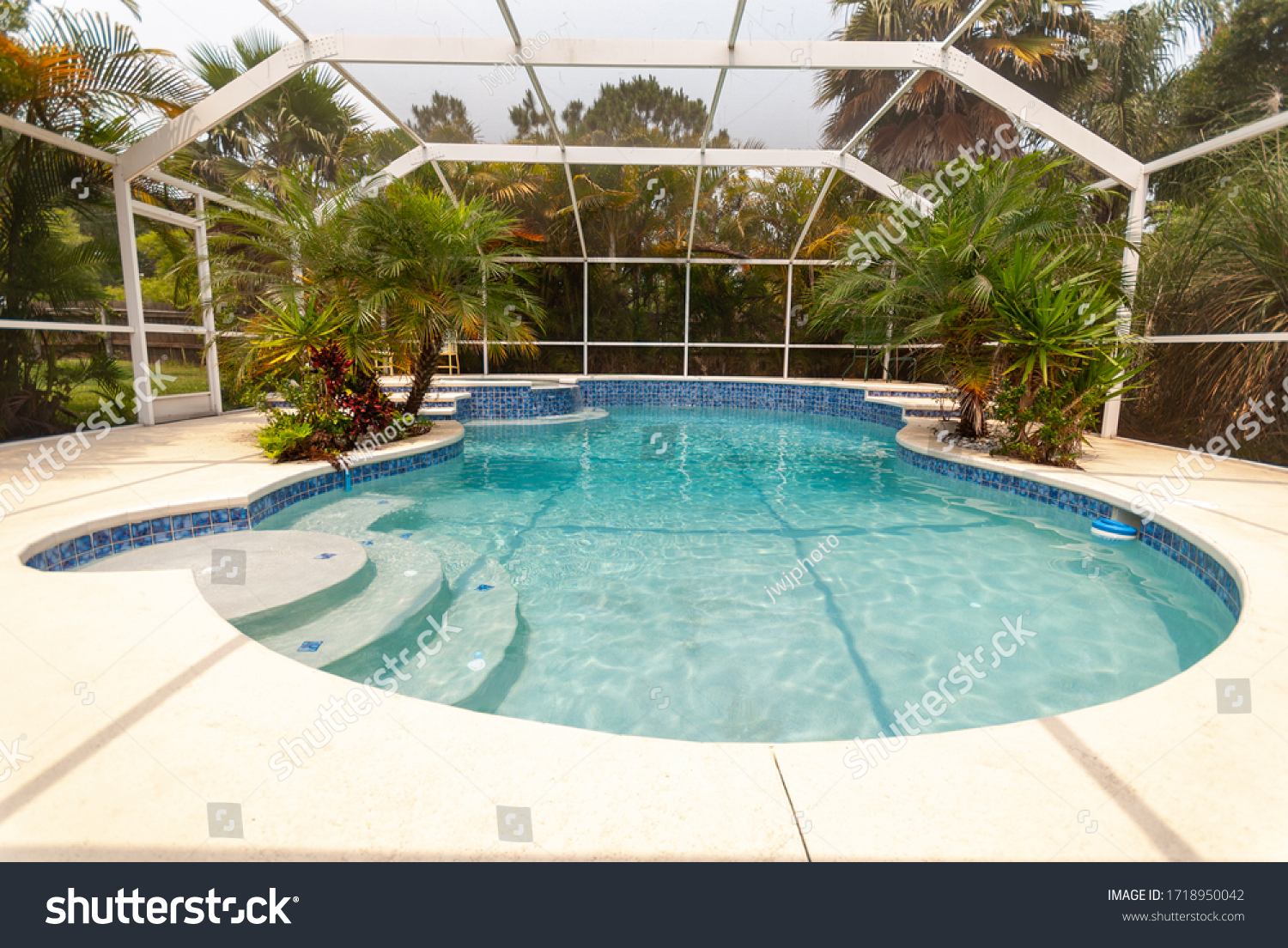 Enclosed backyard pool in South Florida #1718950042