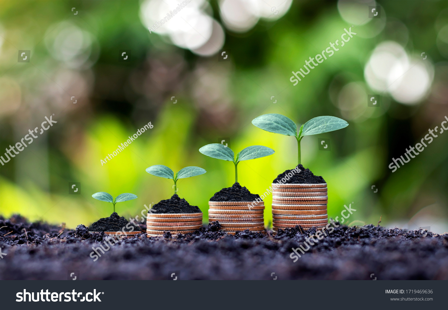 Coins and plants are grown on a pile of coins for finance and banking. The idea of saving money and increasing finances. #1719469636