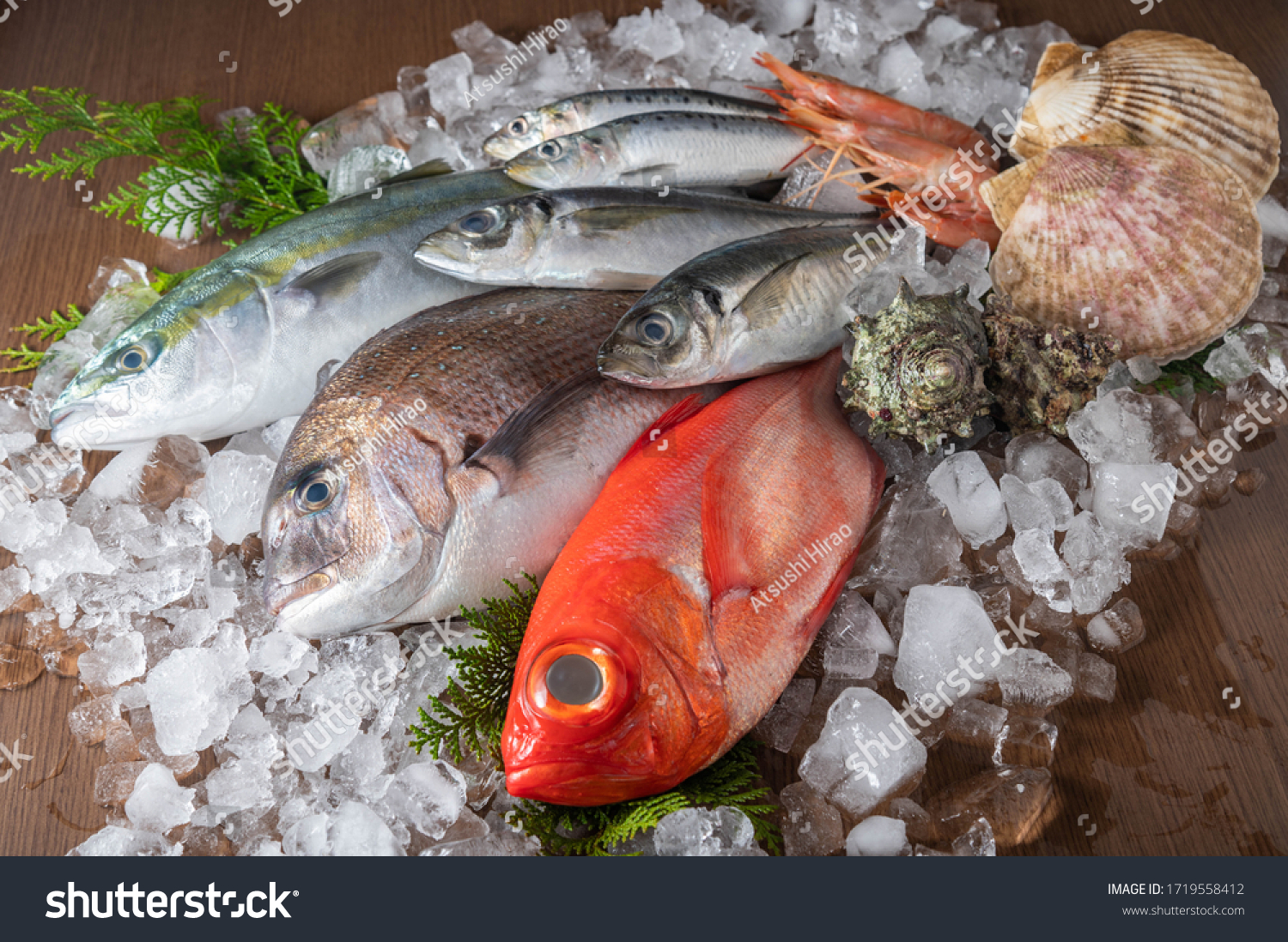 japanese fresh fishes and crustacean on ice
 #1719558412